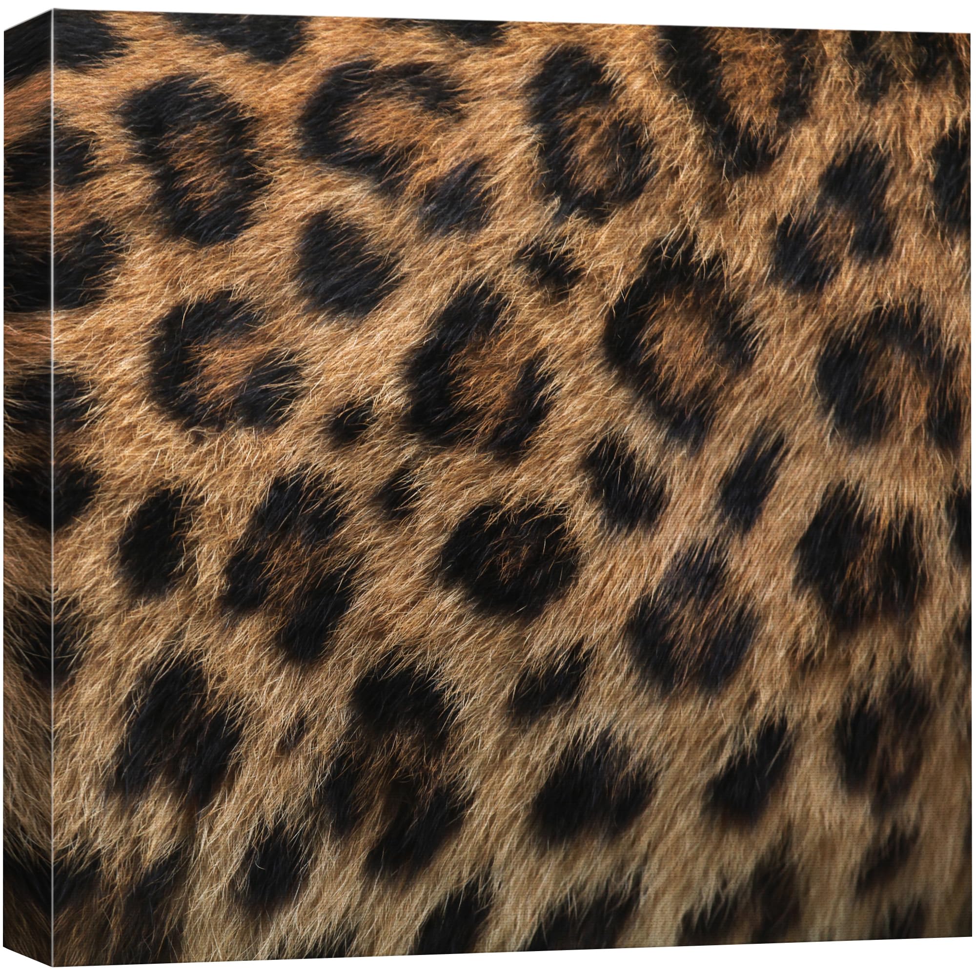 Wall26 - Canvas Prints Wall Art - Canvas Prints Wall Art Leopard Fur/Skin Texture - 24''X24''