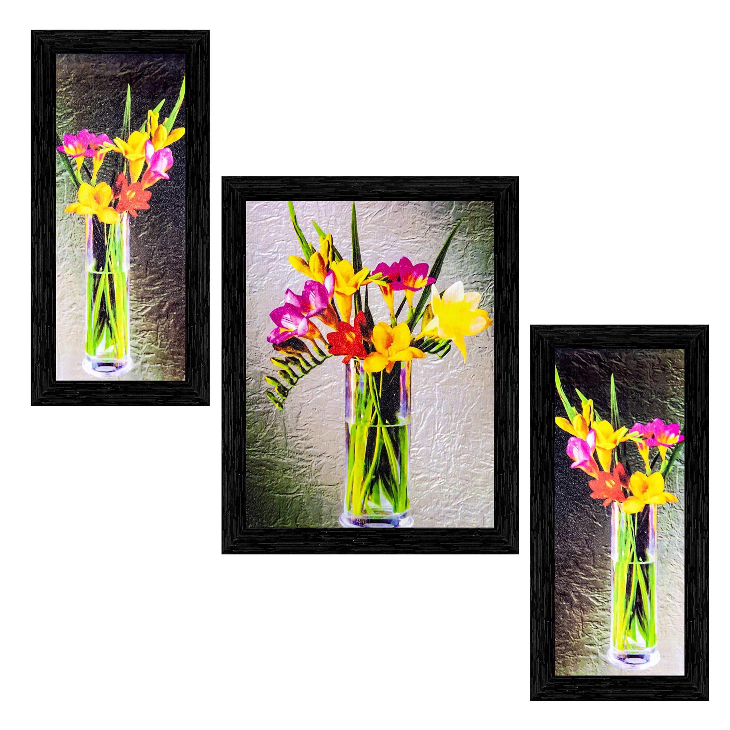 Indianara 3 Piece Set Of Framed Wall Hanging Art-Multicolour
