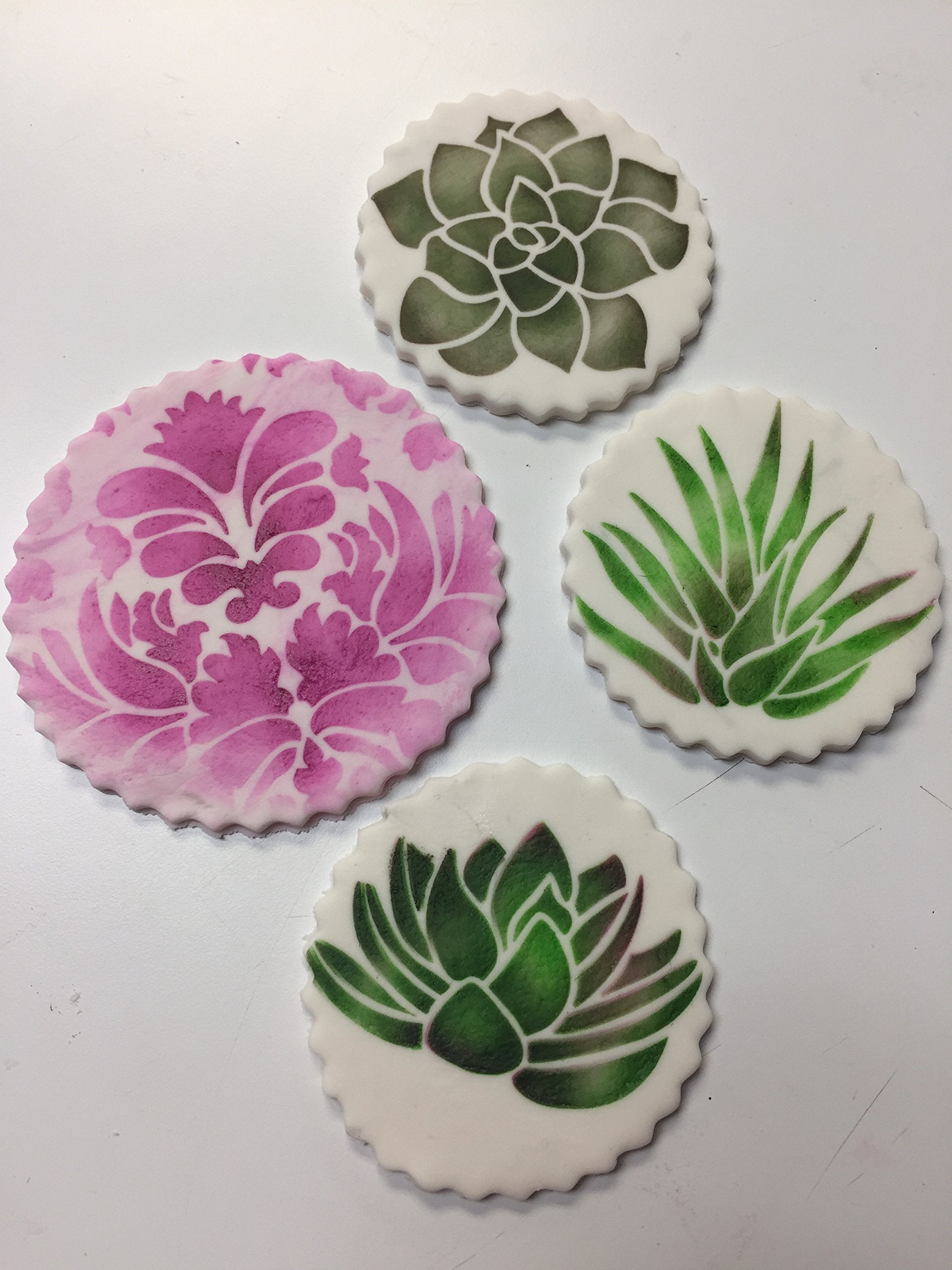 Succulent Plants Cookie Stencil Set C998 By Designer Stencils