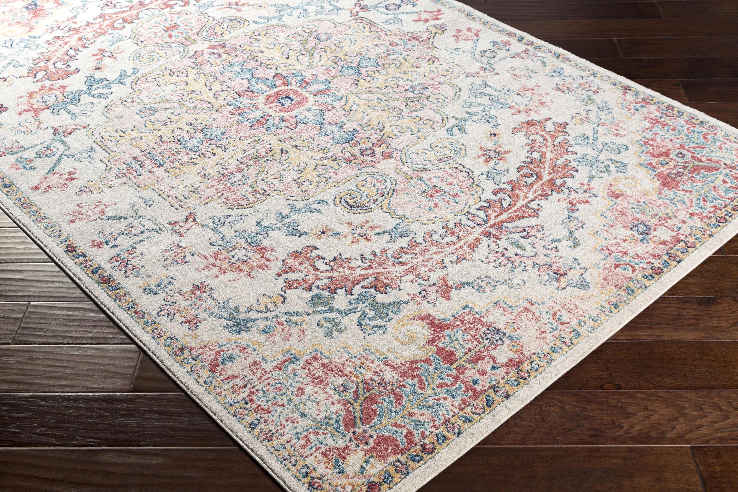 Livabliss Area Rugs - 5x7 Odelia Vintage Boho Red Off-White Blue Area Rug for Living Room Bedroom - Floral Medallion Stain Resis