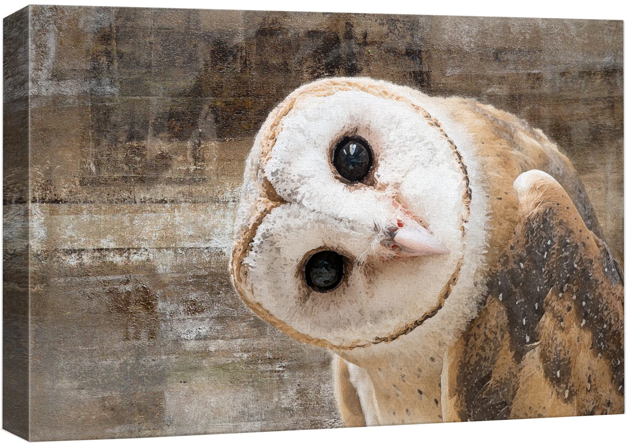 Wall26 - Canvas Wall Art - Common Barn Owl (Tyto Albahead) Head Close Up - Gallery Wrap Modern Home Art | Ready To Hang - 16X24