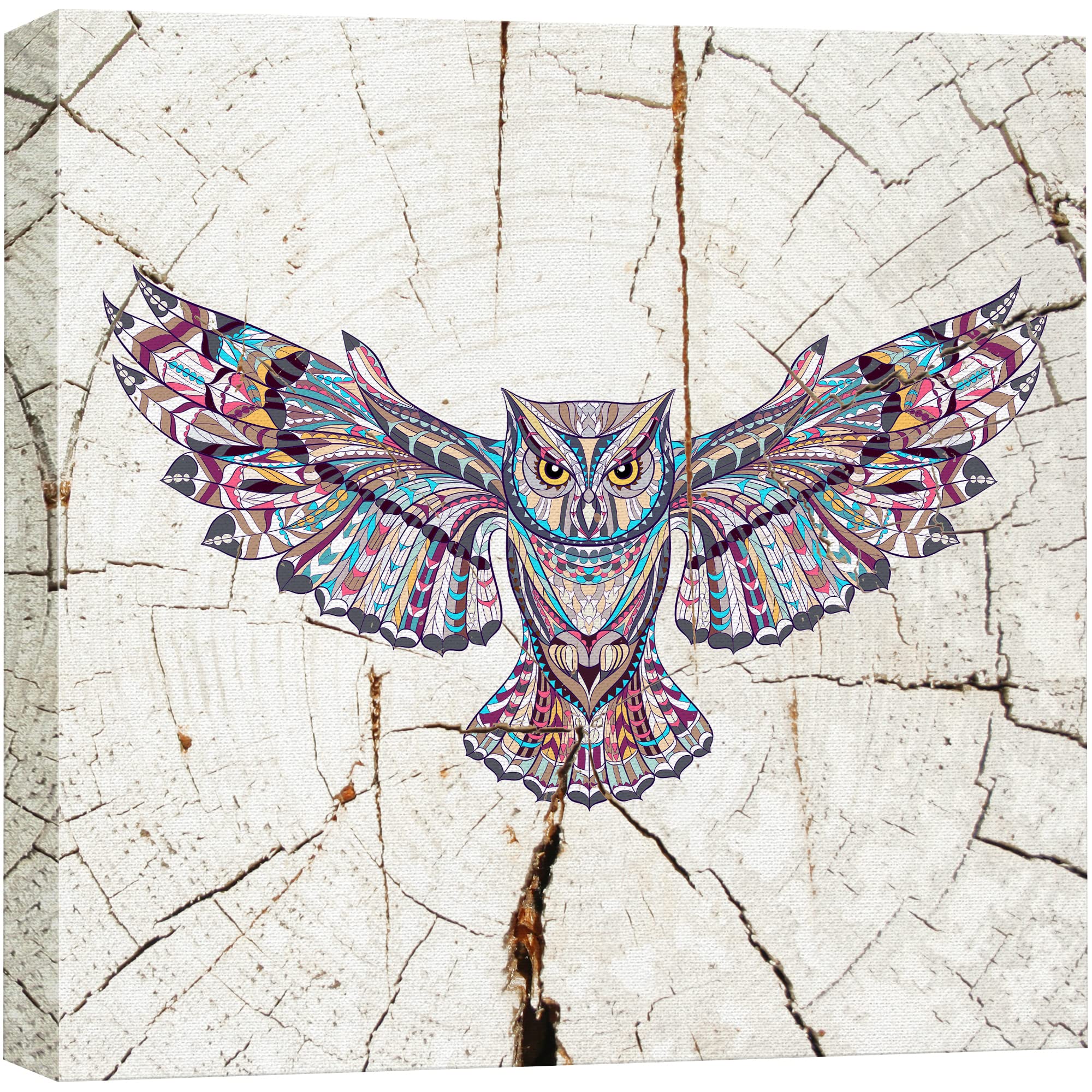 Wall26 Canvas Print Wall Art Wood Ring Effect Tribal Pattern Owl Animals Wildlife Wood Panels Modern Art Farmhouse/Country Expre