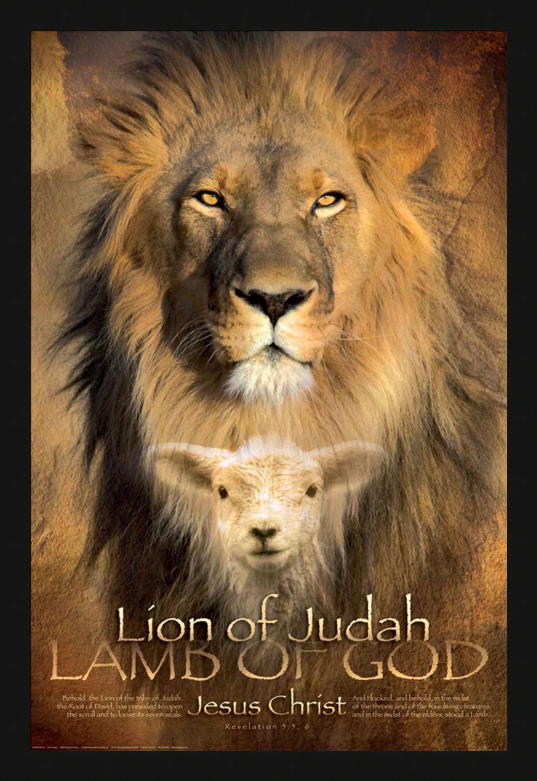 24X36 Lion Of Judah, Black Art Print Poster Framed With 1.5'' Flat Black Wood Composite Mdf Frame #24X36Loj1.5