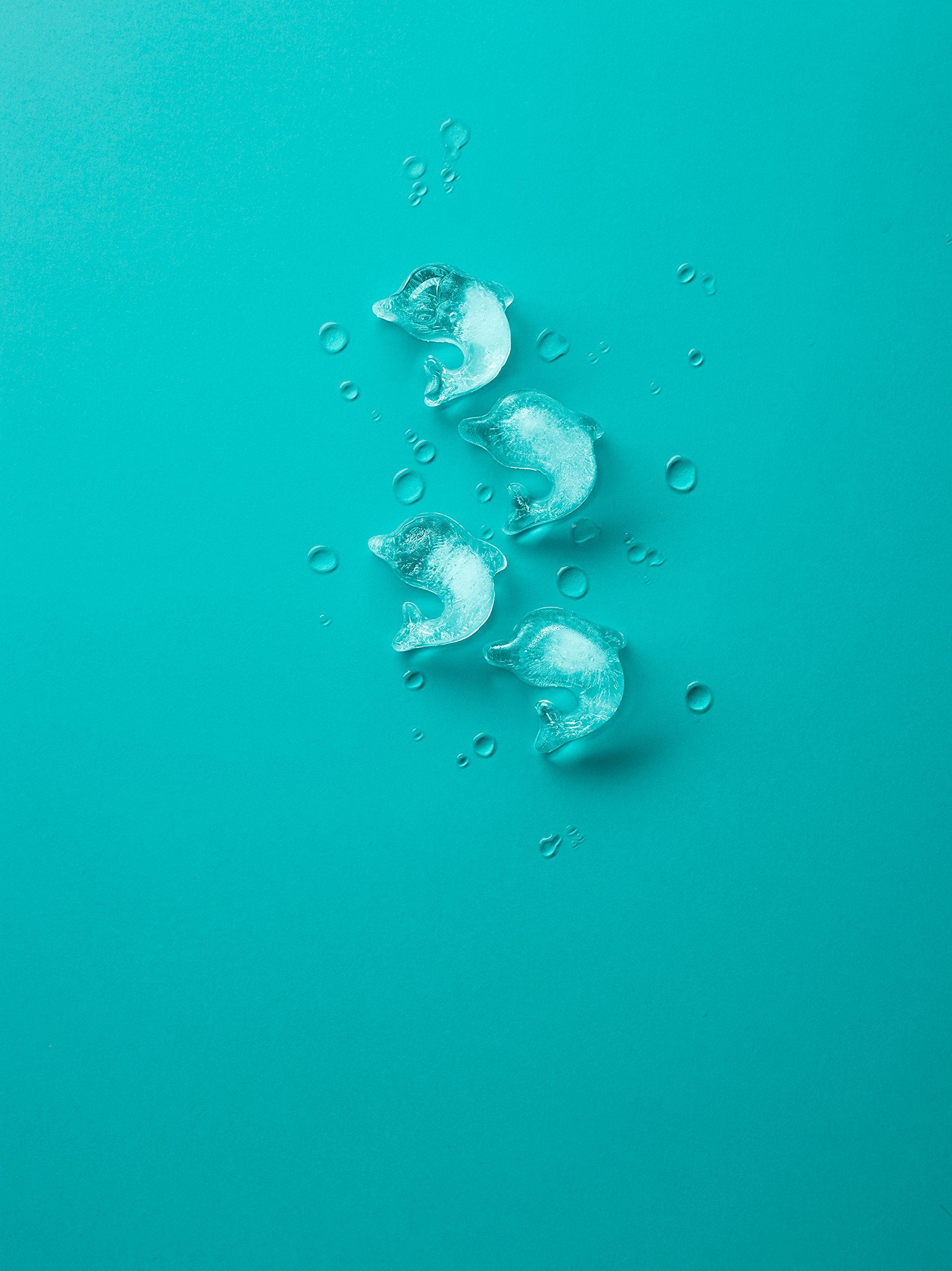 Lekue Dolphin Ice Cube Tray, Blue