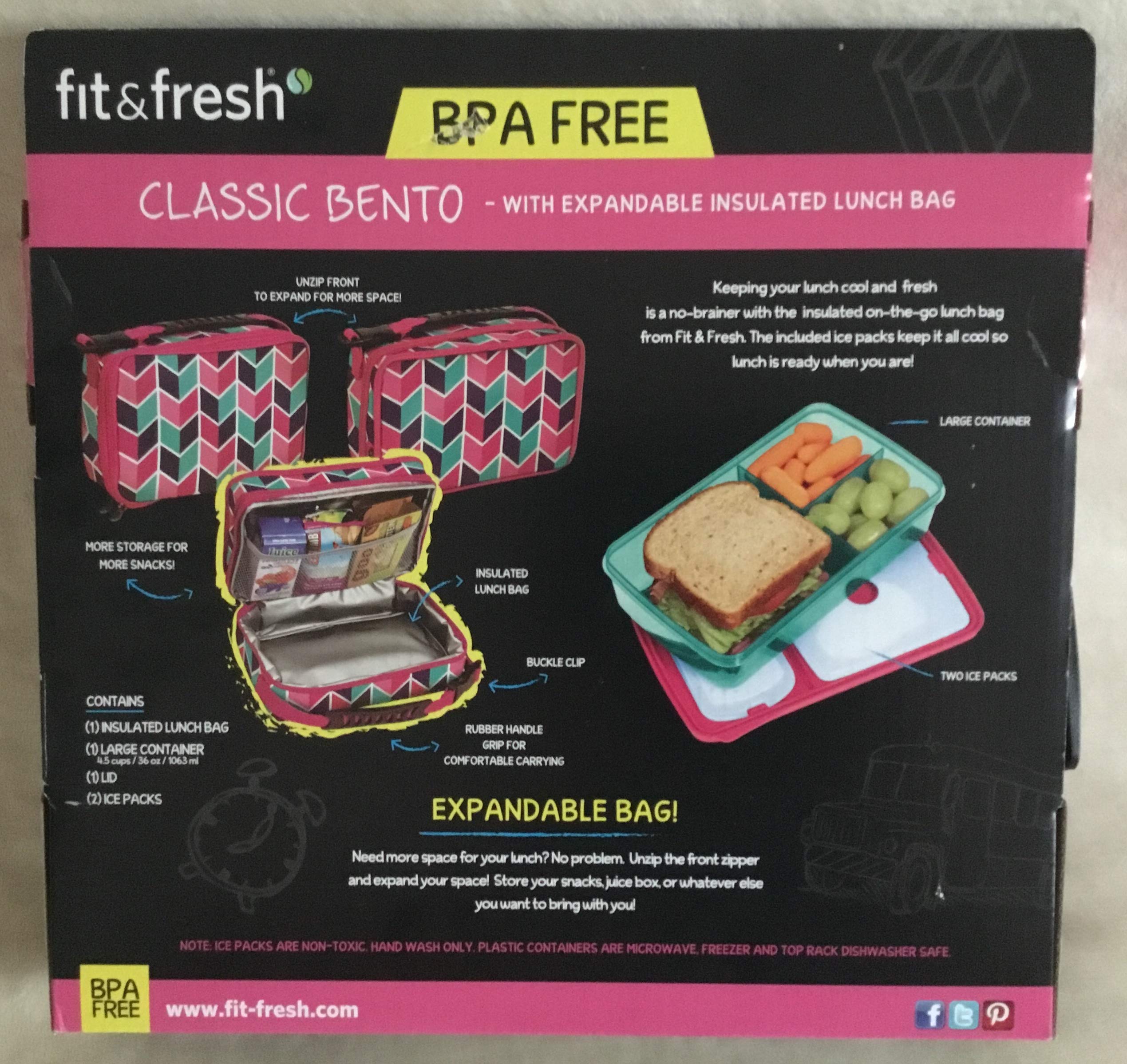 Fit & Fresh Bento Lunch Set, Navy Arrow