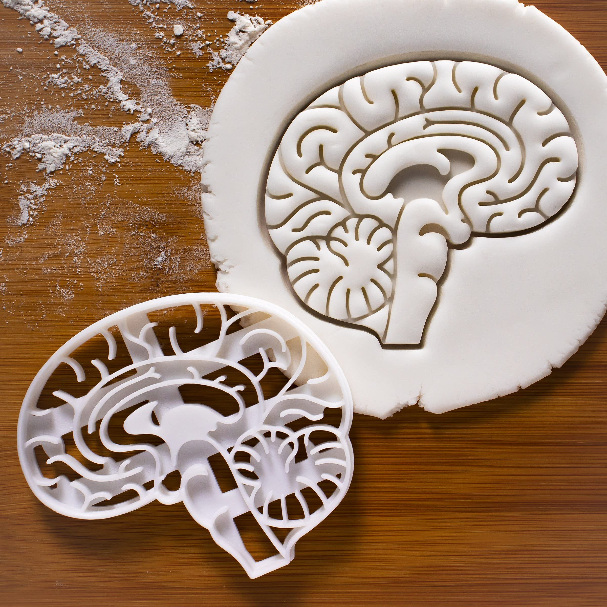 Set Of 2 Anatomical Heart And Brain Cookie Cutters (Designs: Anatomical Brain And Heart), 2 Pieces - Bakerlogy