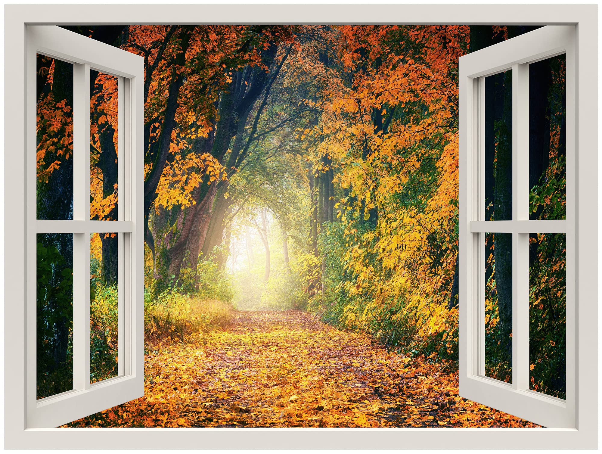 Wall26 Removable Wall Sticker/Wall Mural Window View Path Through Autumn Fall Season Tree Forest Nature Wilderness Photography R