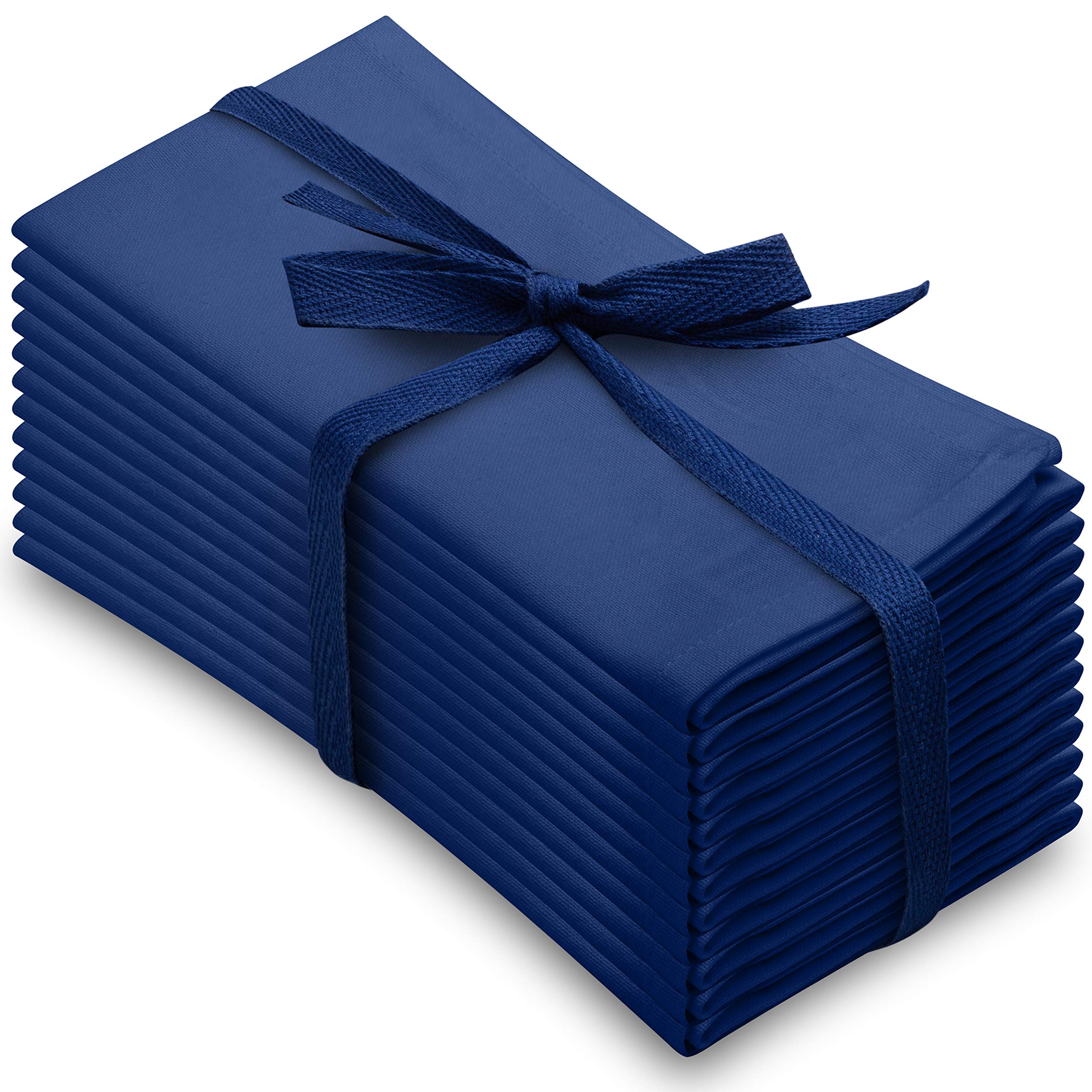 Aunti Em'S Kitchen Blue Cotton Dinner Napkins Cloth 12 Pack 20X20 100% Natural Oversized Bulk Linens For Dinner, Events, Wedding