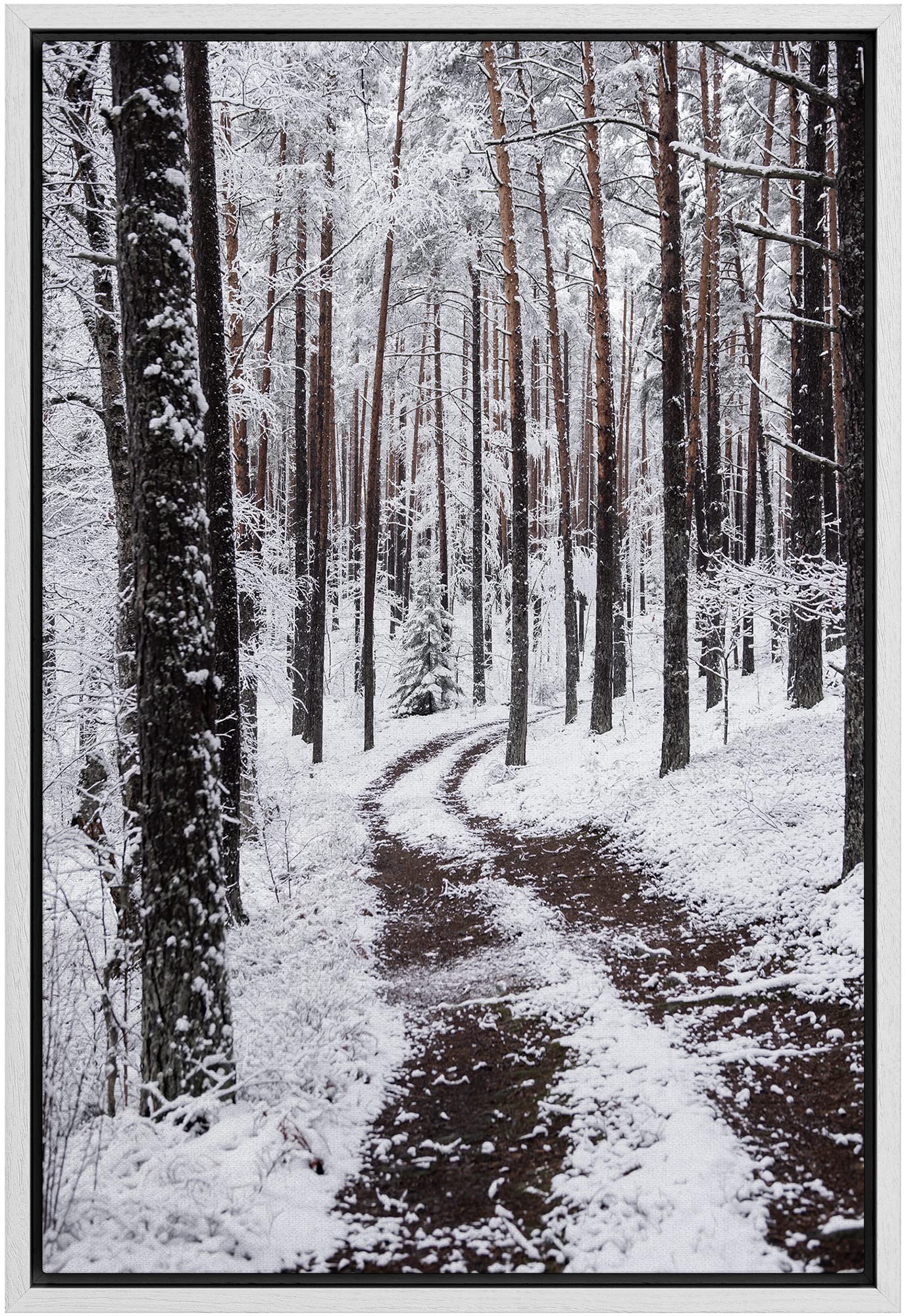 Signwin Framed Canvas Wall Art Winter Trees Cool Dramatic Forest Multicolor Nature Photography Rustic - 24''X36'' White