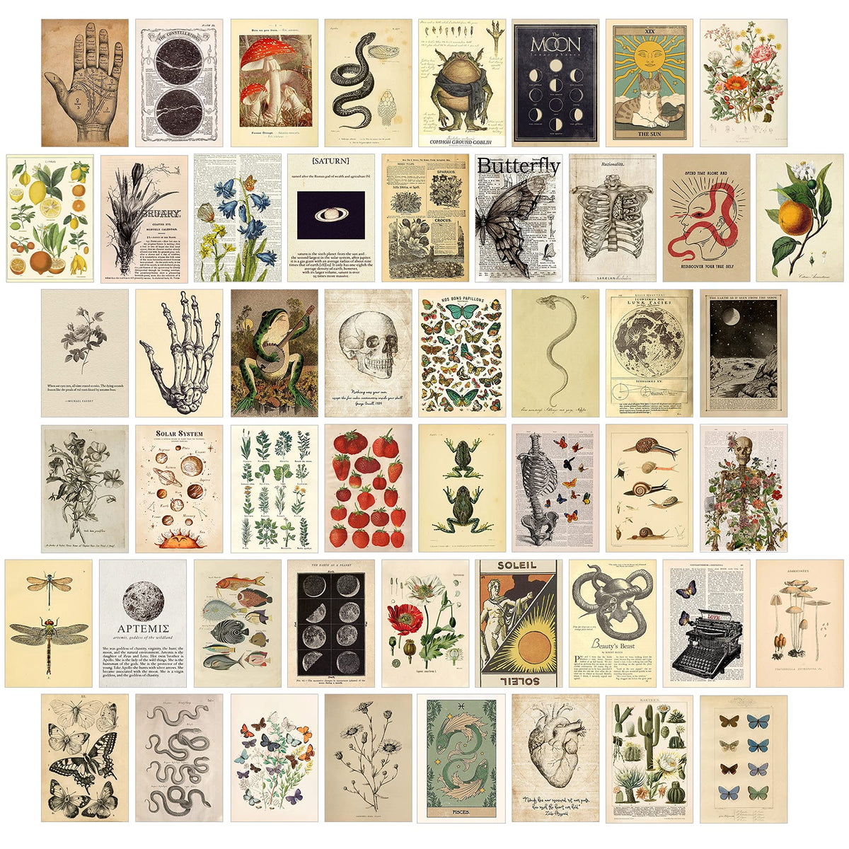 KOSKIMER 50PCS Vintage Wall Collage Kit Aesthetic Pictures Posters Cot ...