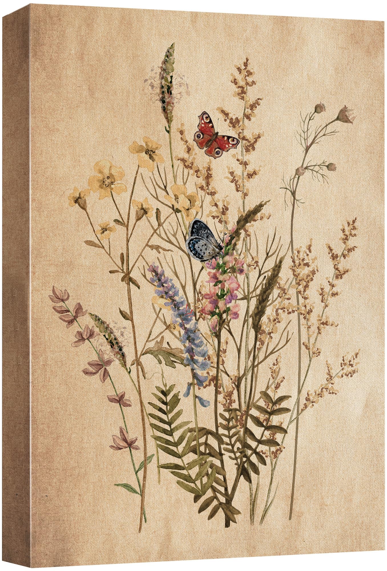 Wall26 Canvas Print Wall Art Vintage Garden Wildflower Still Life Nature Wilderness Illustrations Modern Art Botanical Floral Fa