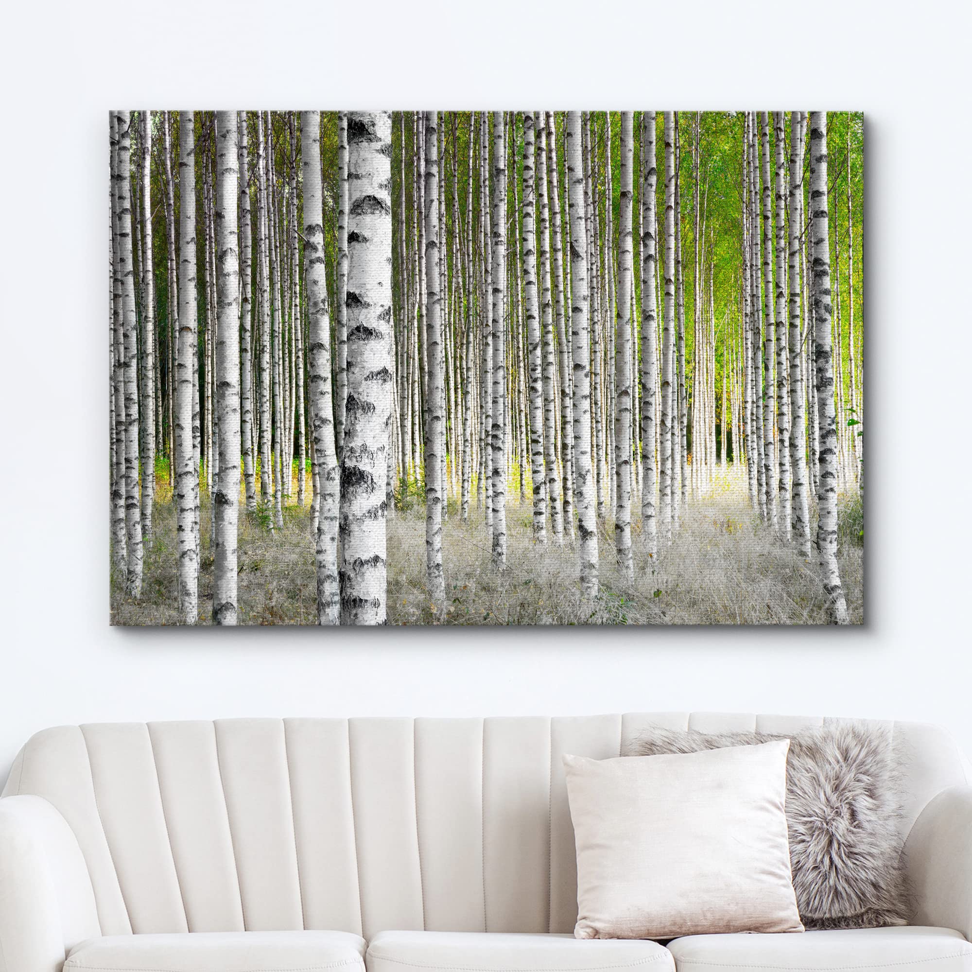 Wall26 Canvas Print Wall Art White Birch Trees In Green Forest Nature Wilderness Photography Modern Art Rustic Scenic Colorful M