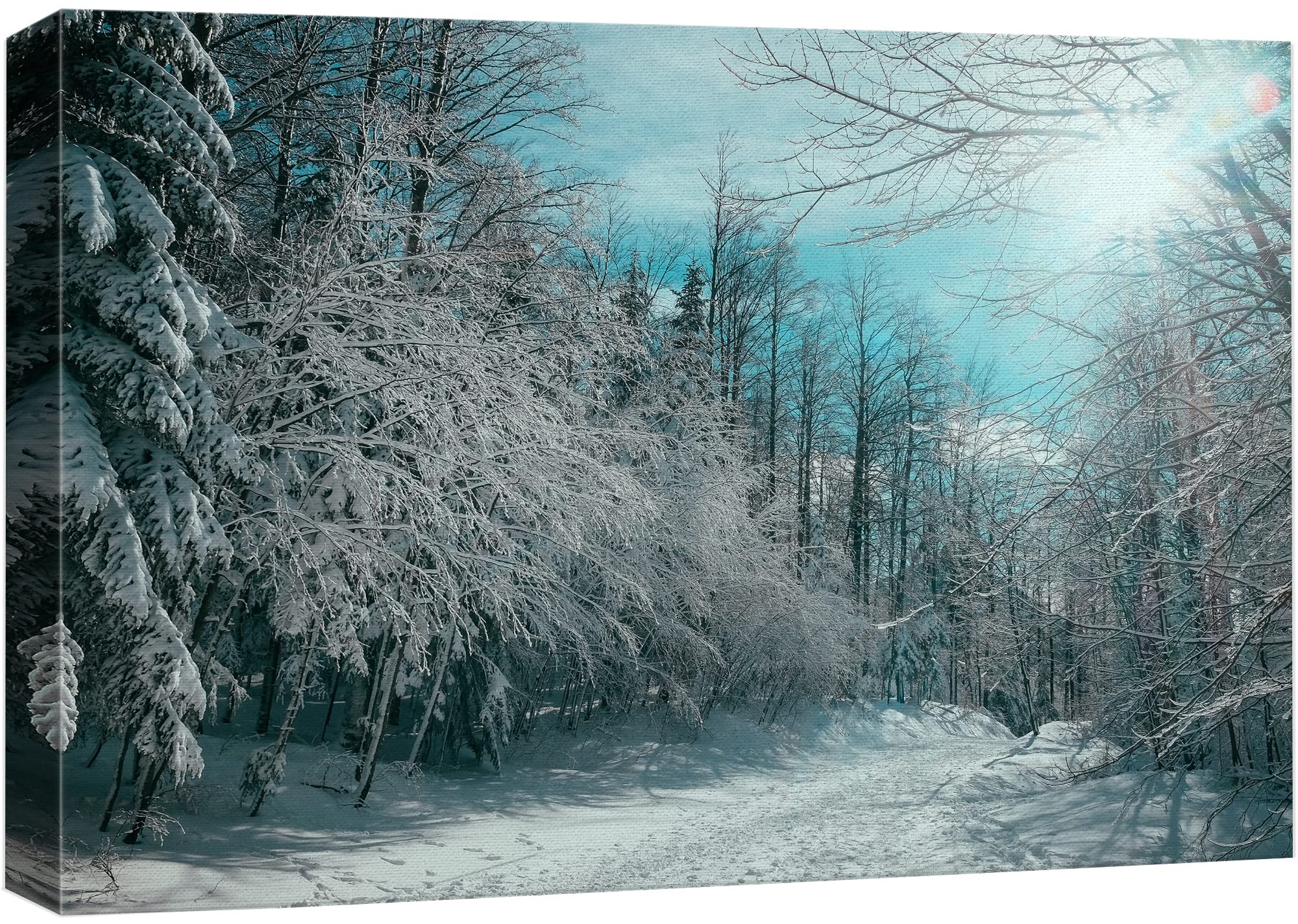 Wall26 Canvas Print Wall Art Pine Tree Forest Covered In Snow Nature Wilderness Photography Modern Art Rustic Scenic Colorful Mu