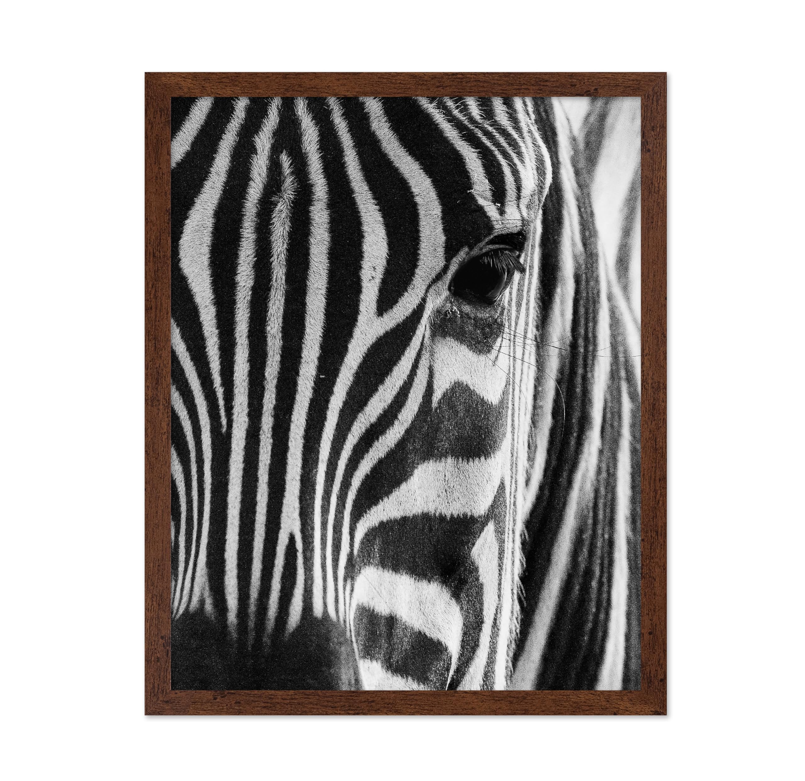 Poster Master Photograph Poster - Retro Animal Print - Striped Zebra, Face Close Up, Safari, Wildlife, Black and White - Gift fo