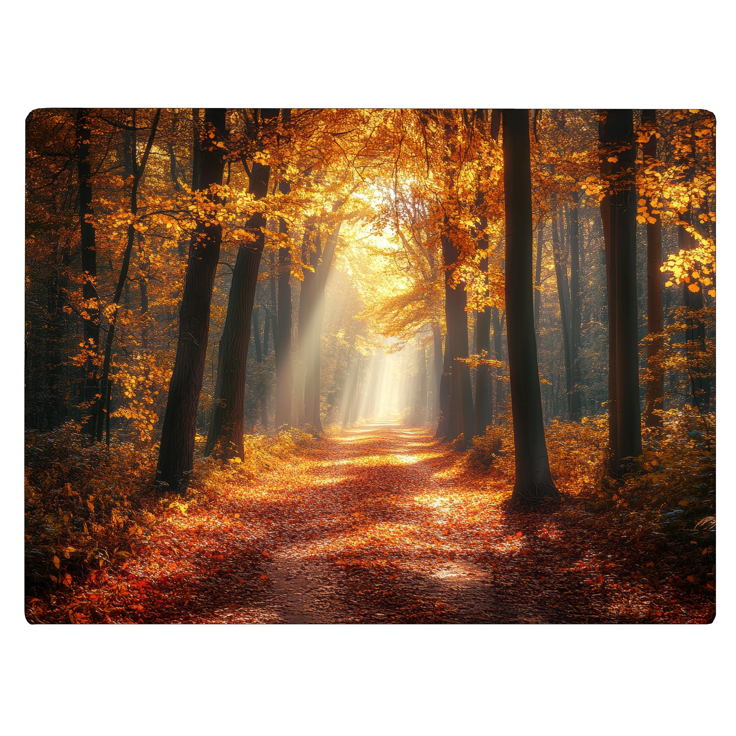 Fall Season Fall Path Pattern Kitchen Glass Cutting Board Decorative Mothers Day Gift For Fall Autumn Leaves (Path)