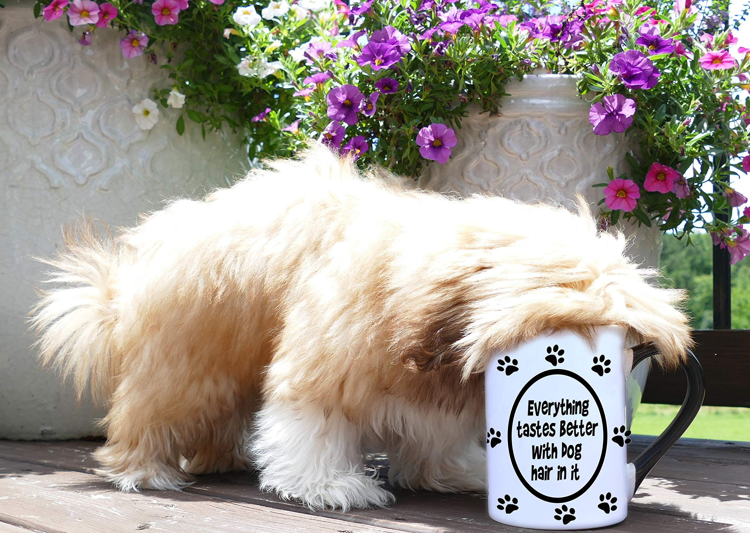 Cottage Creek 16Oz Ceramic Black And White Dog Mug, Fun Coffee Cup And Tea Mug