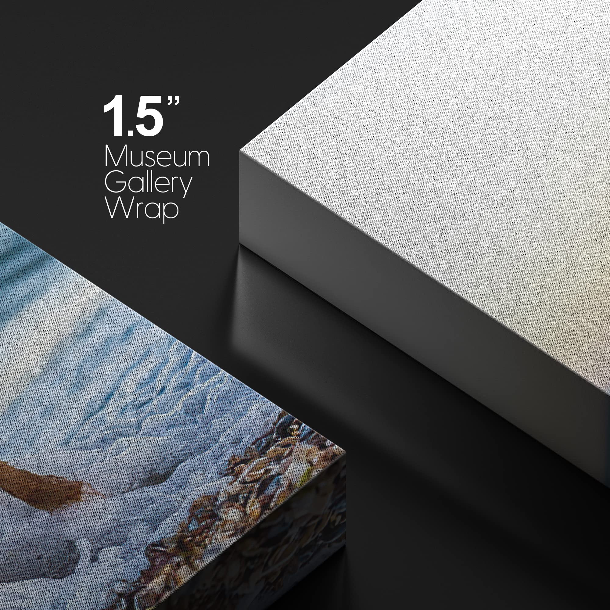 Nwt Custom Canvas Prints With Your Photos For Petanimal, Personalized Canvas Pictures For Wall To Print Framed 14X11 Inches