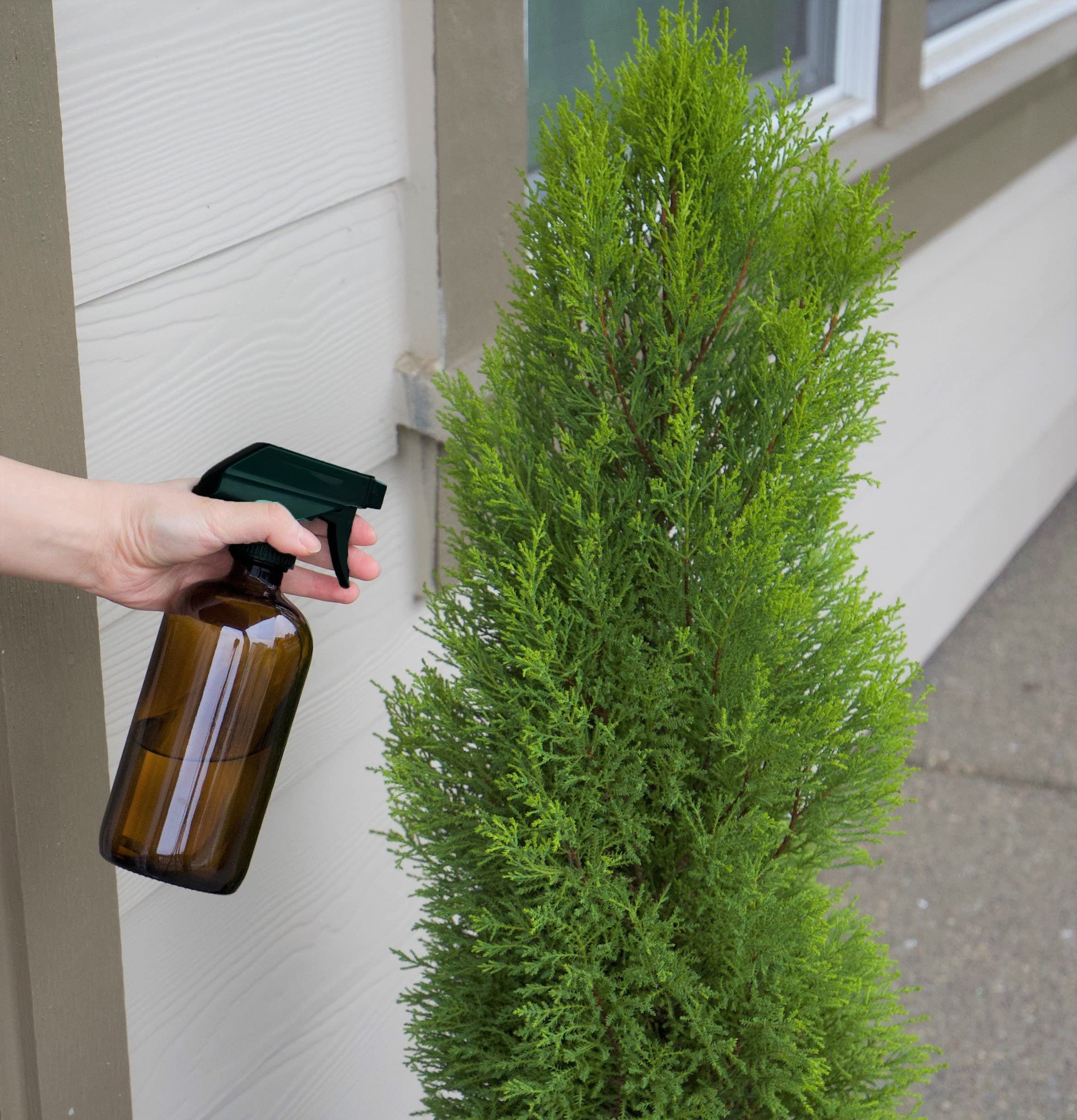 Youngever 4 Pack 16 Ounce Empty Glass Spray Bottles, Refillable Container For Essential Oils, Cleaning Products, Or Aromatherapy