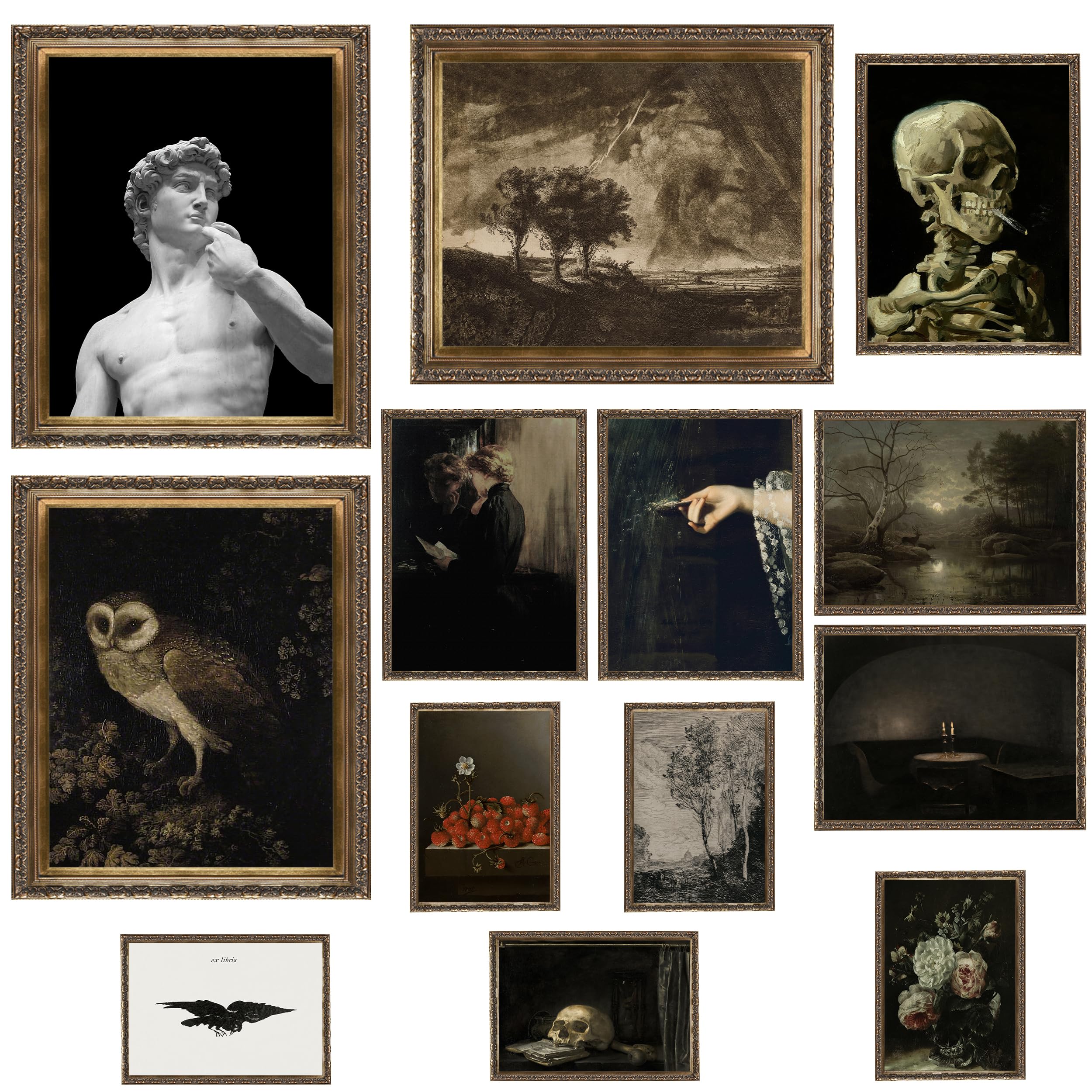 Baykul Dark Academia Room Decor, Gothic Home Decor, Halloween Decoration Set Of 13, Victorian Decor, Witchy Gallery Wall Art For