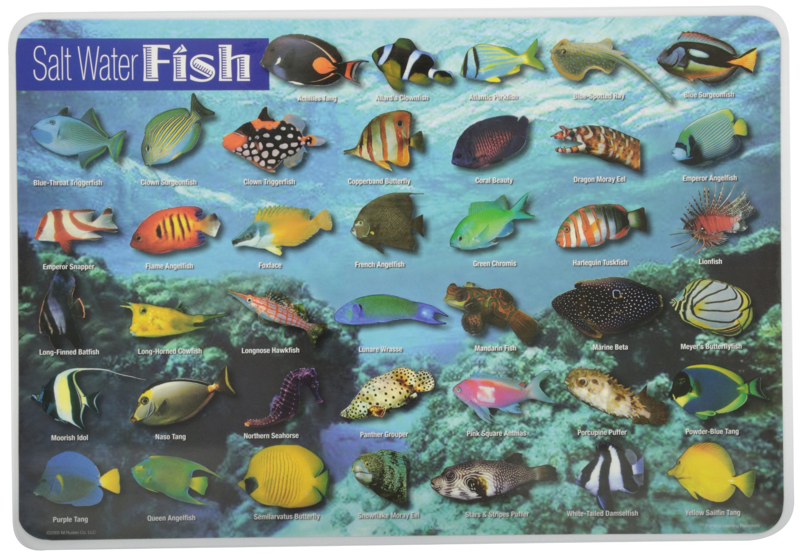 Painless Learning Saltwater Fish Placemat, 12 X 17 1/2 Inches