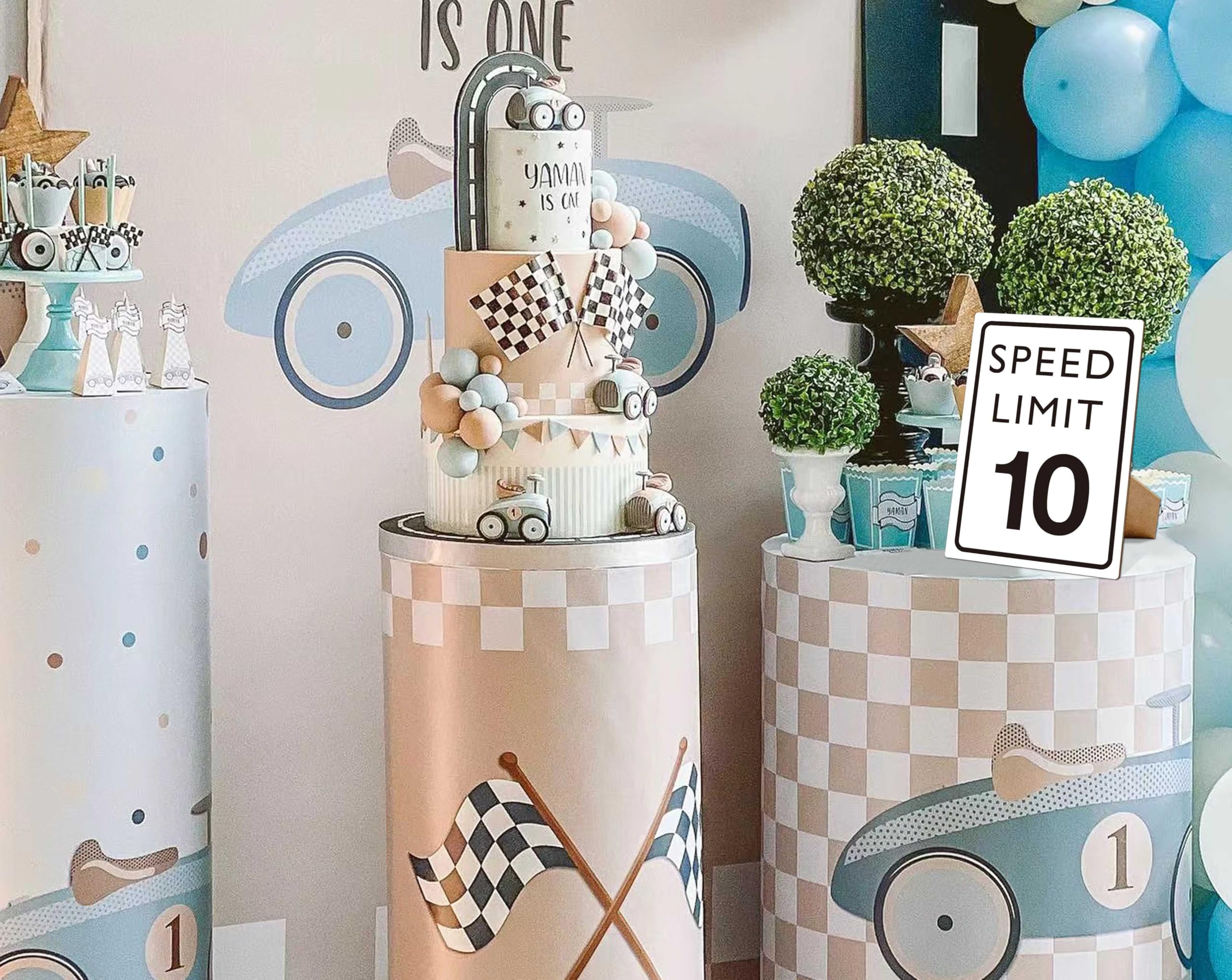 Muruseni Race Car Birthday Decor, Speed Limit Sign, Fast Ten, Race Car Birthday Party Decorations, 8  11 Wooden Play Sign with S