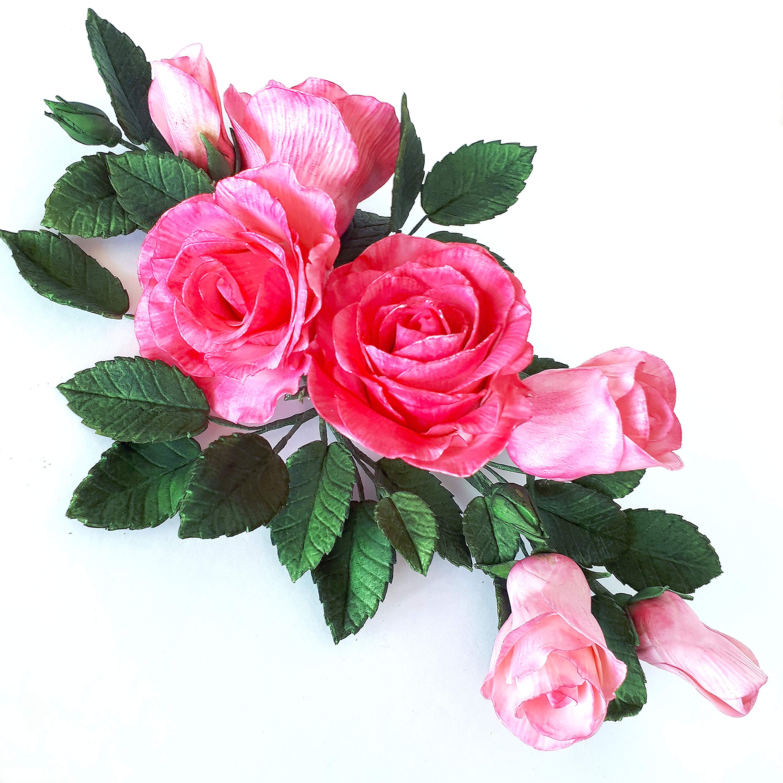 Flower Pro Multi Leaf Veiner Silicone Mold For Cake Decorating (By Chef Nicholas Lodge For Katy Sue Designs)