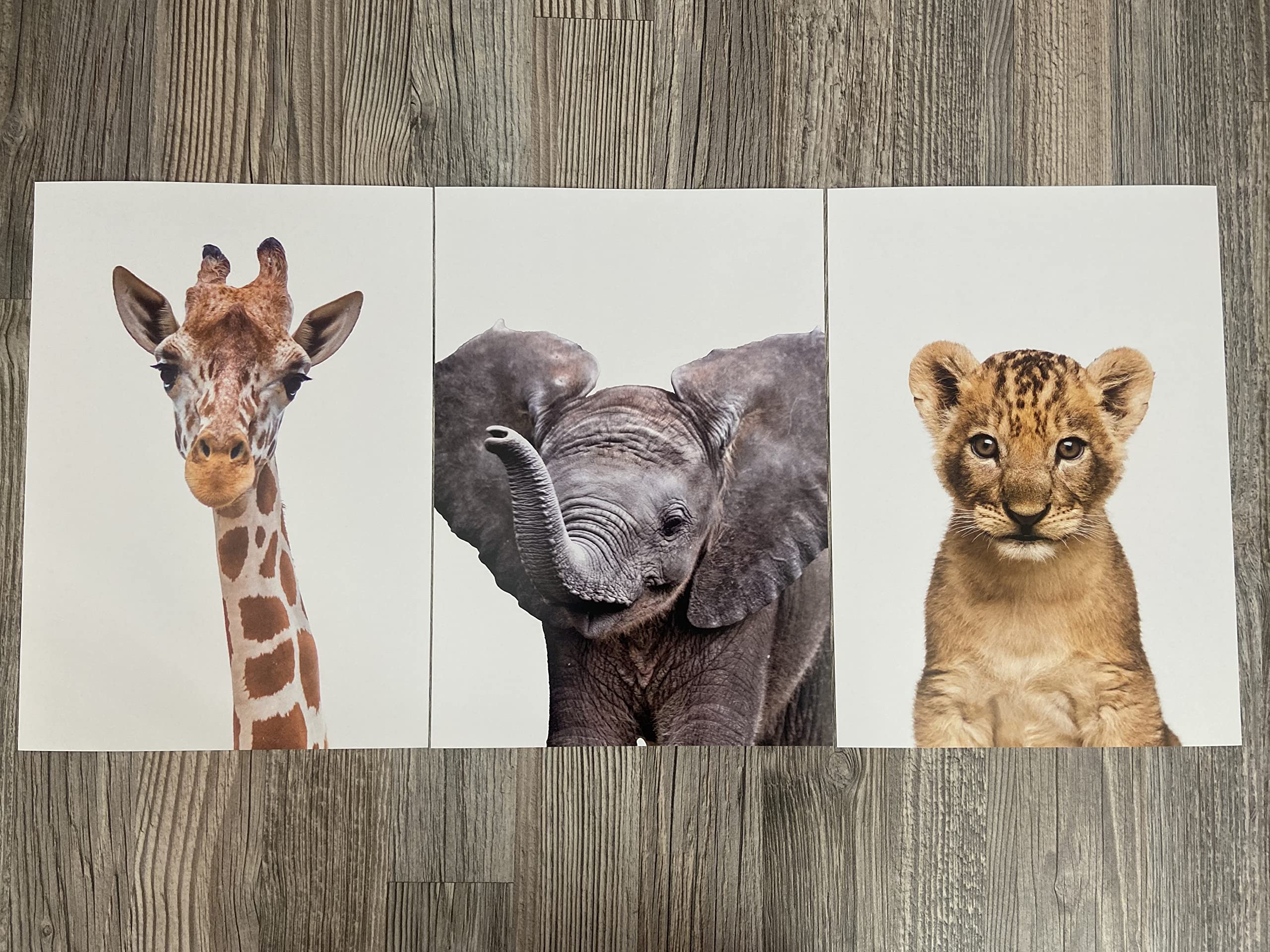 Realistic Baby Safari Animals Set Of 3 Girl Or Boy Unframed Nursery Prints, Bedroom Playroom Jungle Decor Wall Art Posters, Gira