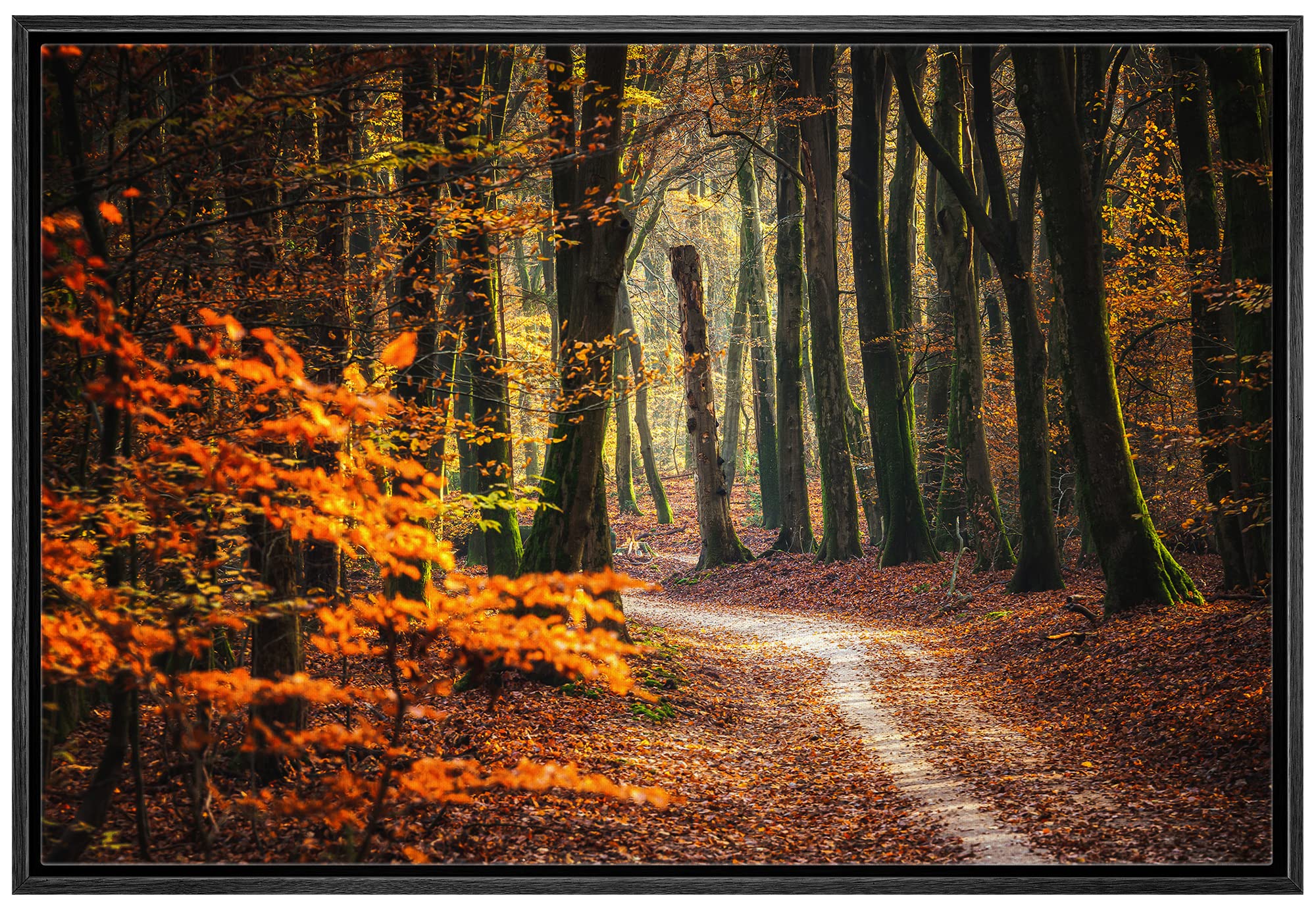 Wall26 Framed Canvas Print Wall Art Autumn Fall Orange Leaf Forest Tree Trail Nature Wilderness Photography Realism Earth Scener