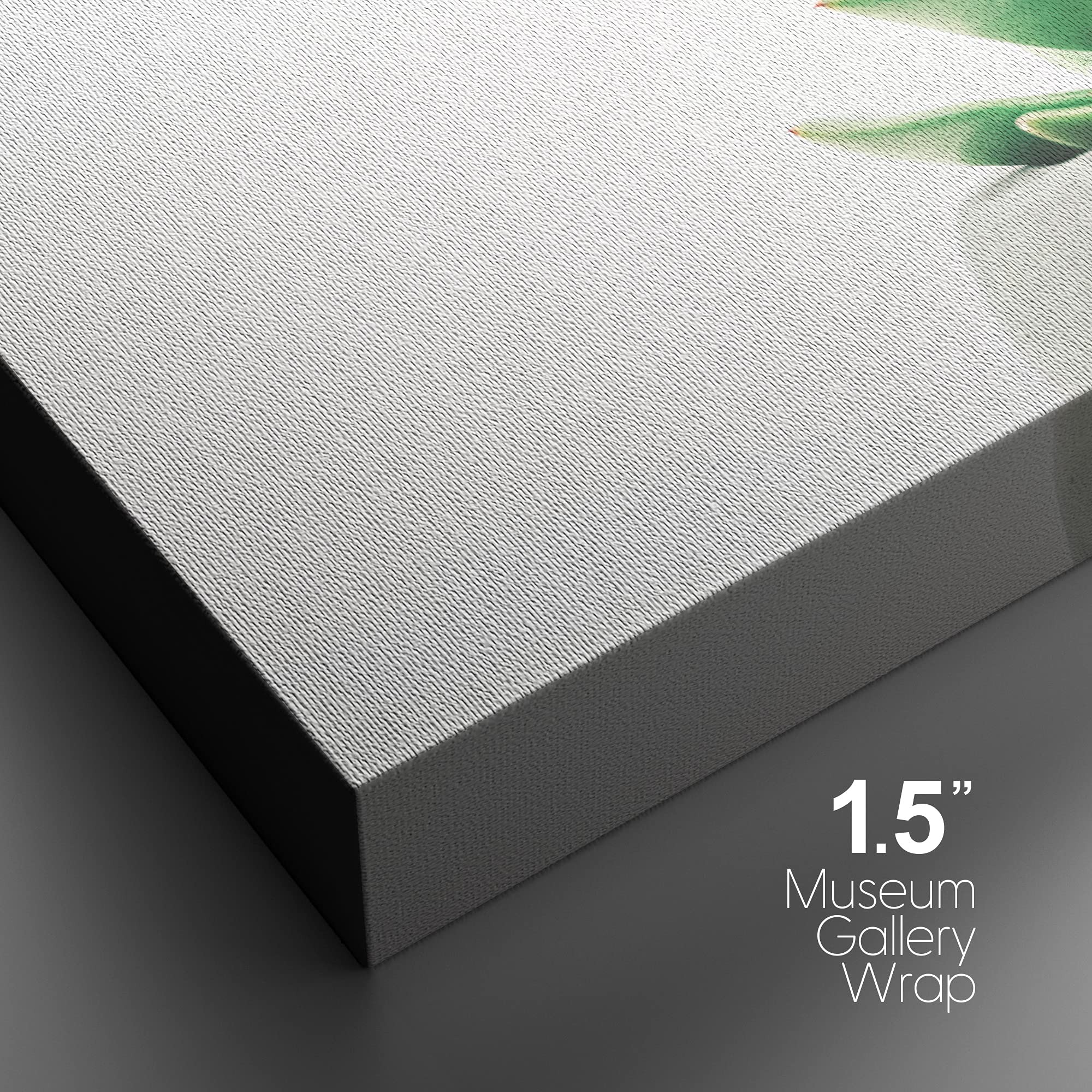 Nwt Canvas Print Wall Art Green Echeveria Cactus Closeup Floral Succulent Photography Modern Art Southwest Scenic Relax/Calm Mul