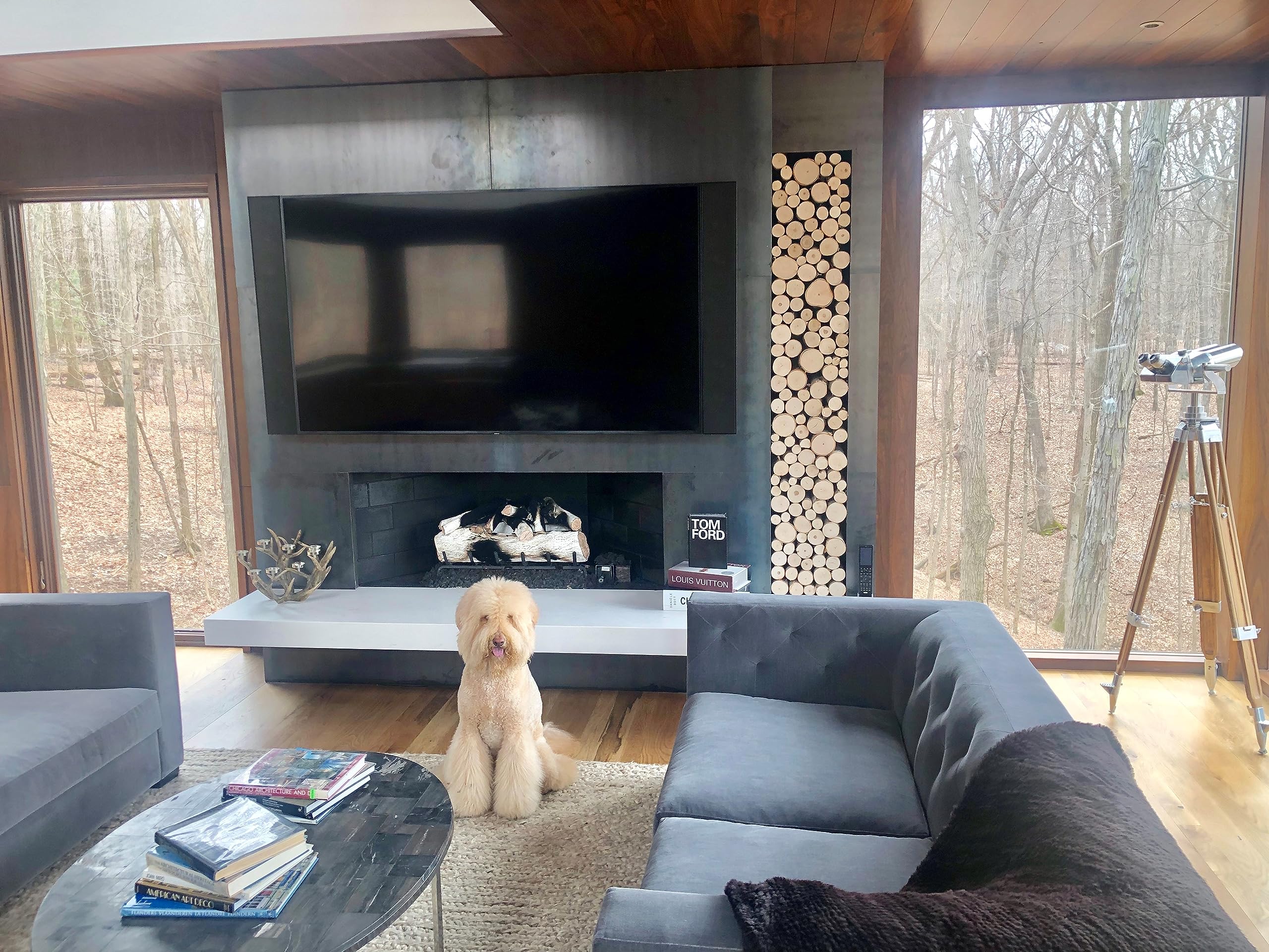 Wilson 7''-9'' Decorative White Birch Fill-A-Space Logs, Natural Home D  Cor - 1.5''-4'' Dia. (1 Sq. Ft)