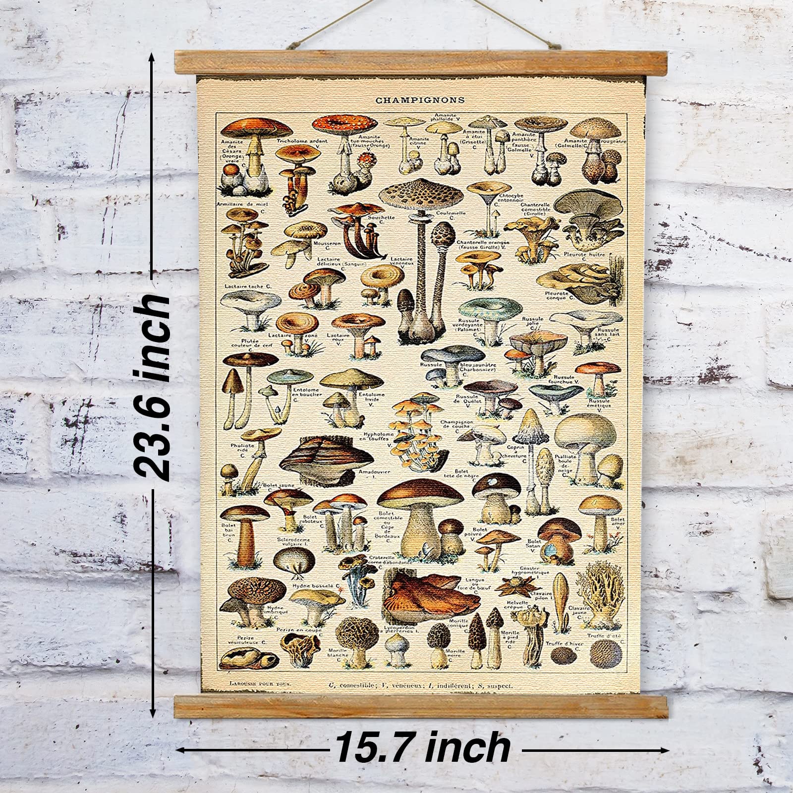 Ovfovy Vintage Mushroom Poster Hanger Frame, Retro Style Wall Art Prints, Printed On Linen With Natural Wooden Frames, Wall Hang