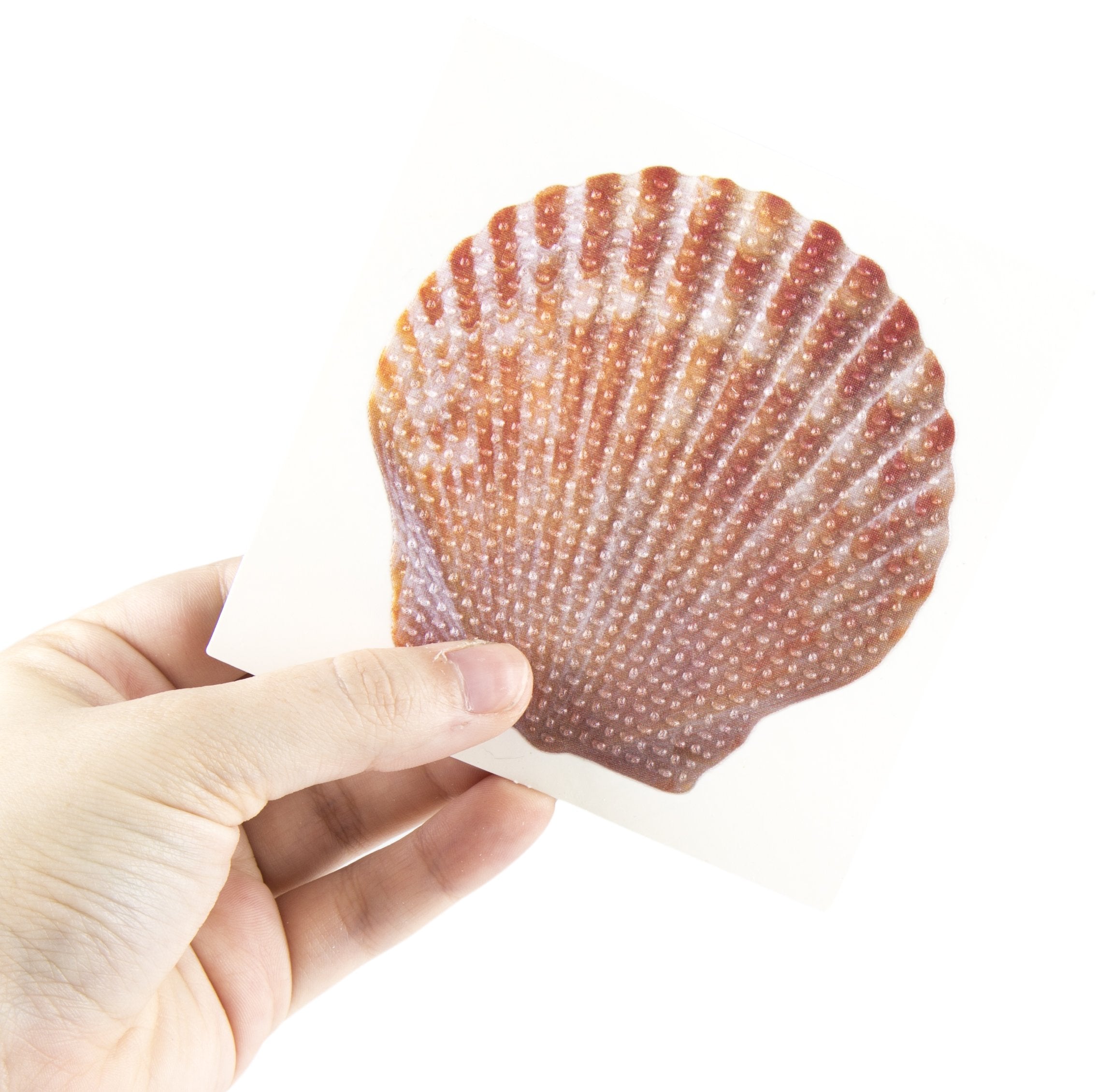 Ginsey Aquatouch Textured Shell Tub Treads - Built From Durable Pvc - Easy Installation - 10-Pack