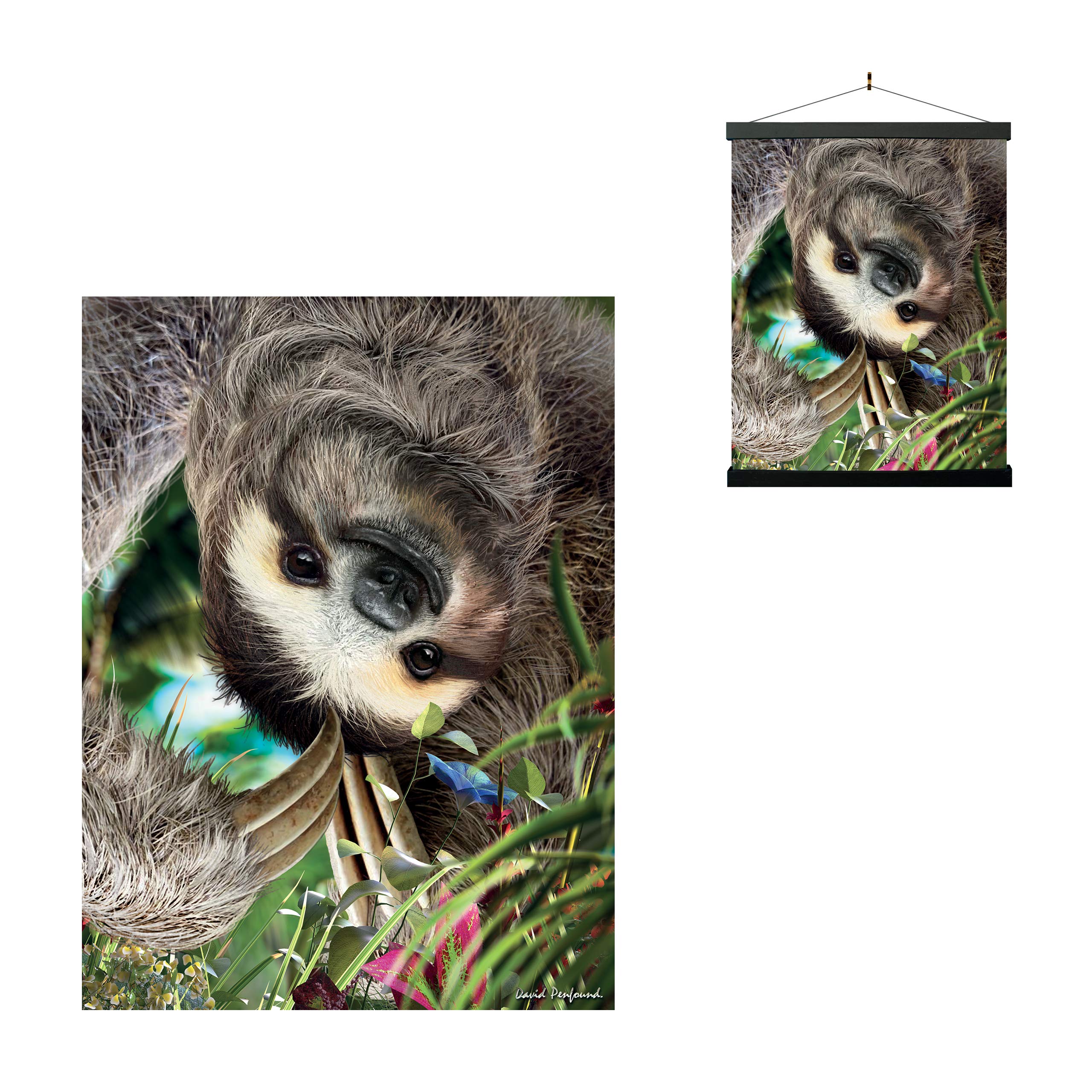 3D Livelife Lenticular Wall Art Prints - Hangin' Around From Deluxebase. Unframed 3D Sloth Poster. Perfect Wall Decor. Original