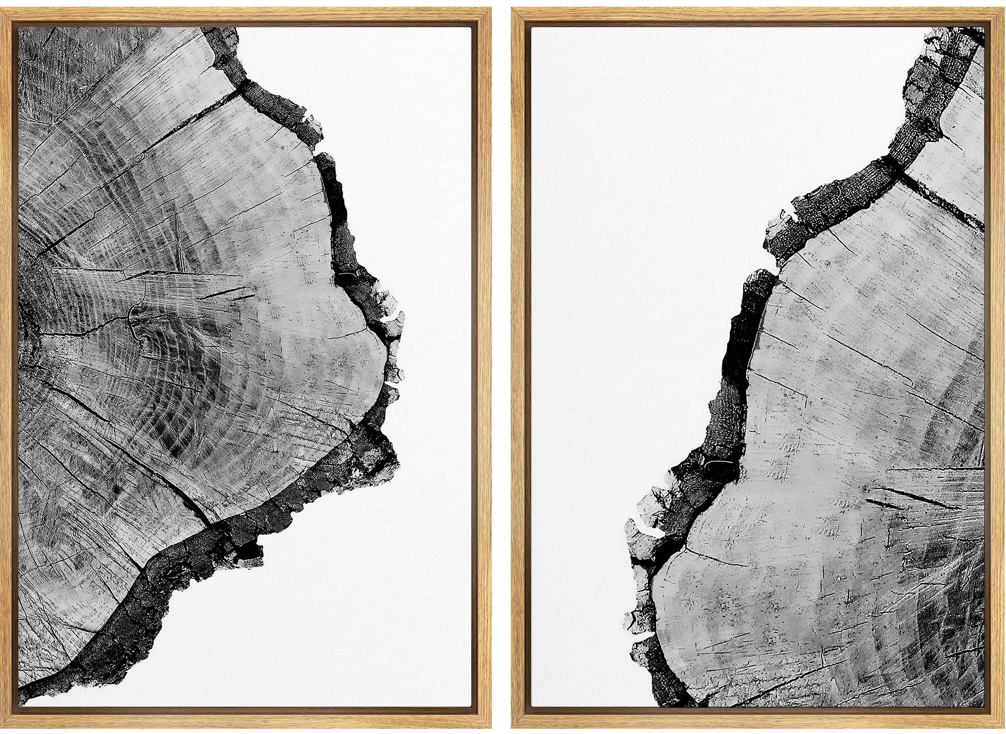 Signwin Framed Wall Art Print Set Black & White Close Up Tree Ring Details Nature Wilderness Photography Modern Art Rustic Relax