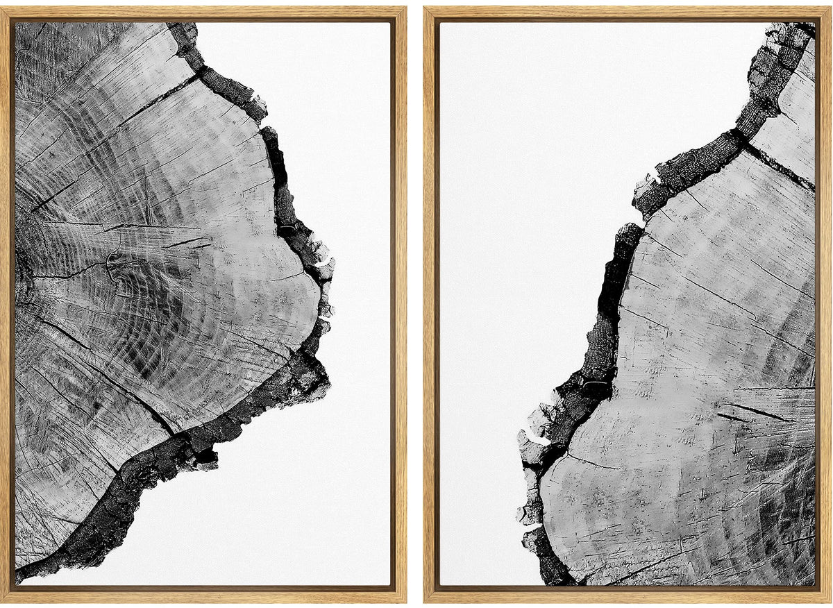 Signwin Framed Wall Art Print Set Black & White Close Up Tree Ring Details Nature Wilderness Photography Modern Art Rustic Relax