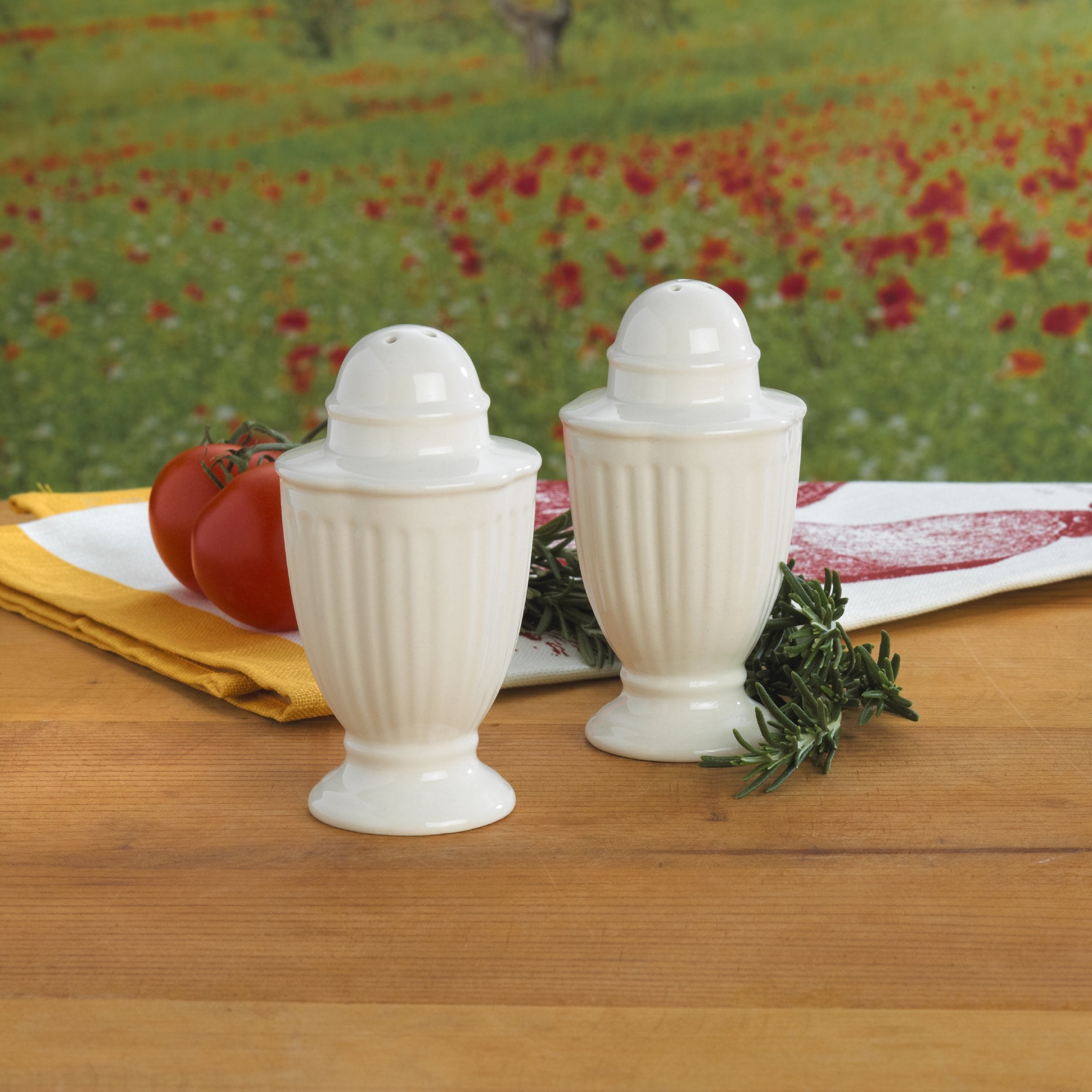Mikasa Italian Countryside Salt And Pepper Set - Dd900-751, White