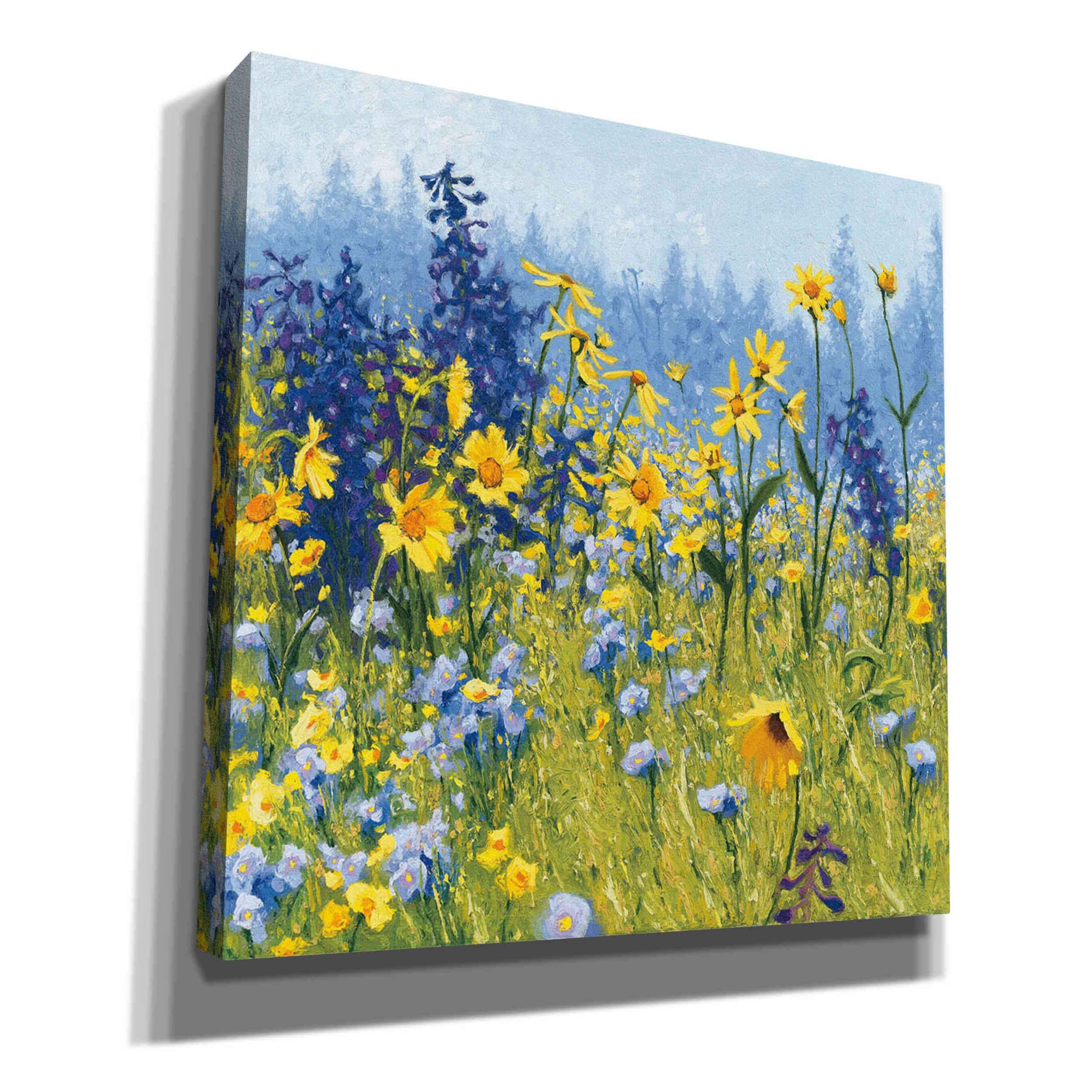 Epic Graffiti 'Joyful In July Iii' By Shirley Novak, Canvas Wall Art, 18''X18''
