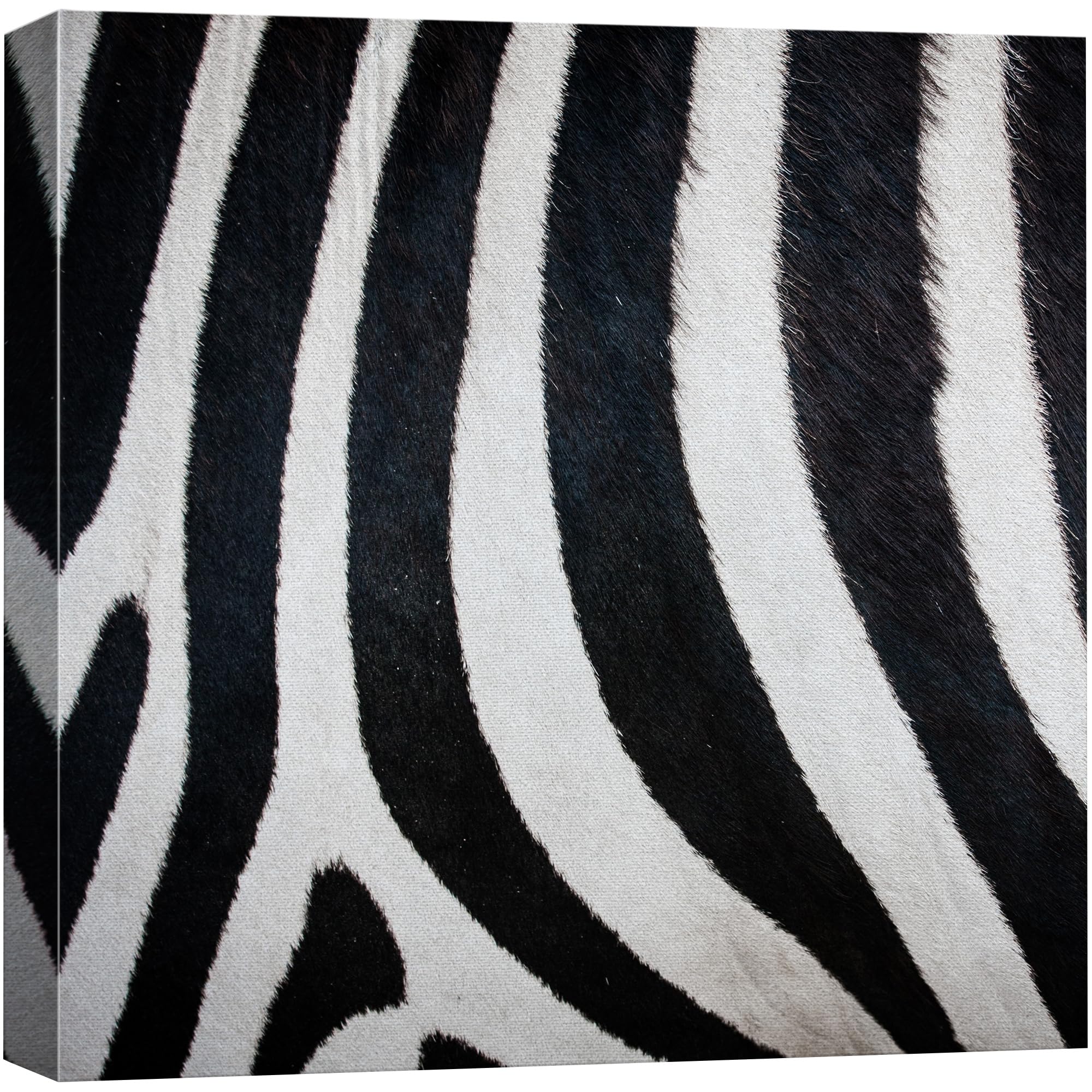Wall26 - Canvas Prints Wall Art - Canvas Prints Wall Art - Zebra Fur/Skin Texture - 12''X12''