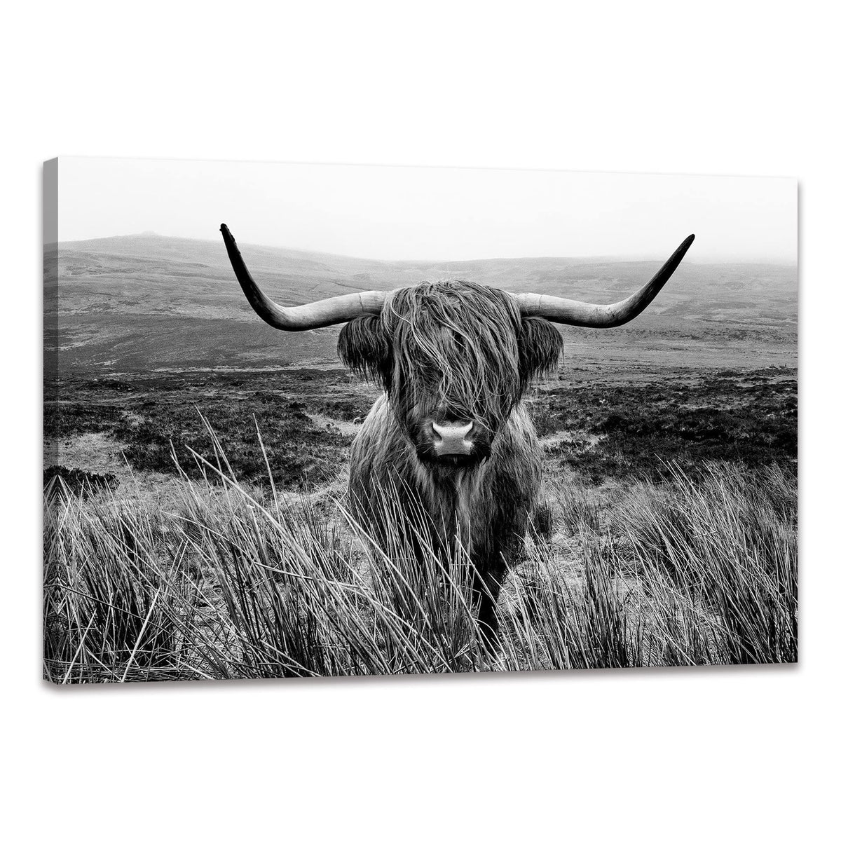 Highland Cow Wall Art Canvas Black And White Artwork Canvas Picture Highland Cow Prints Paintings Wall Decor Framed For Living R