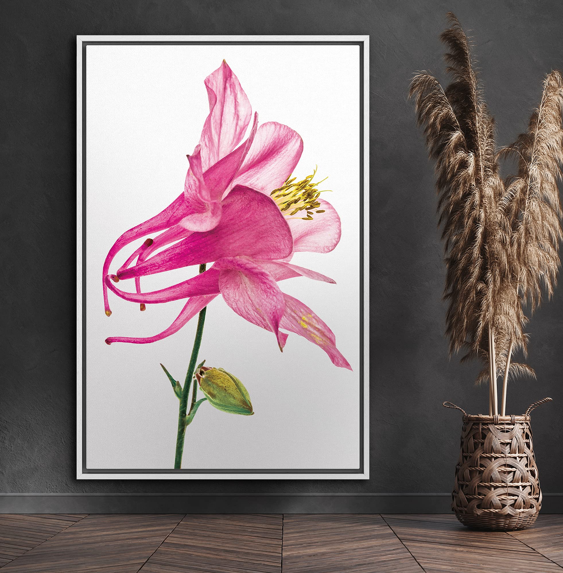 Signford Framed Canvas Print Wall Art Neon Pink Lily Closeup Botanical Plants Illustrations Realism Contemporary Closeup Colorfu