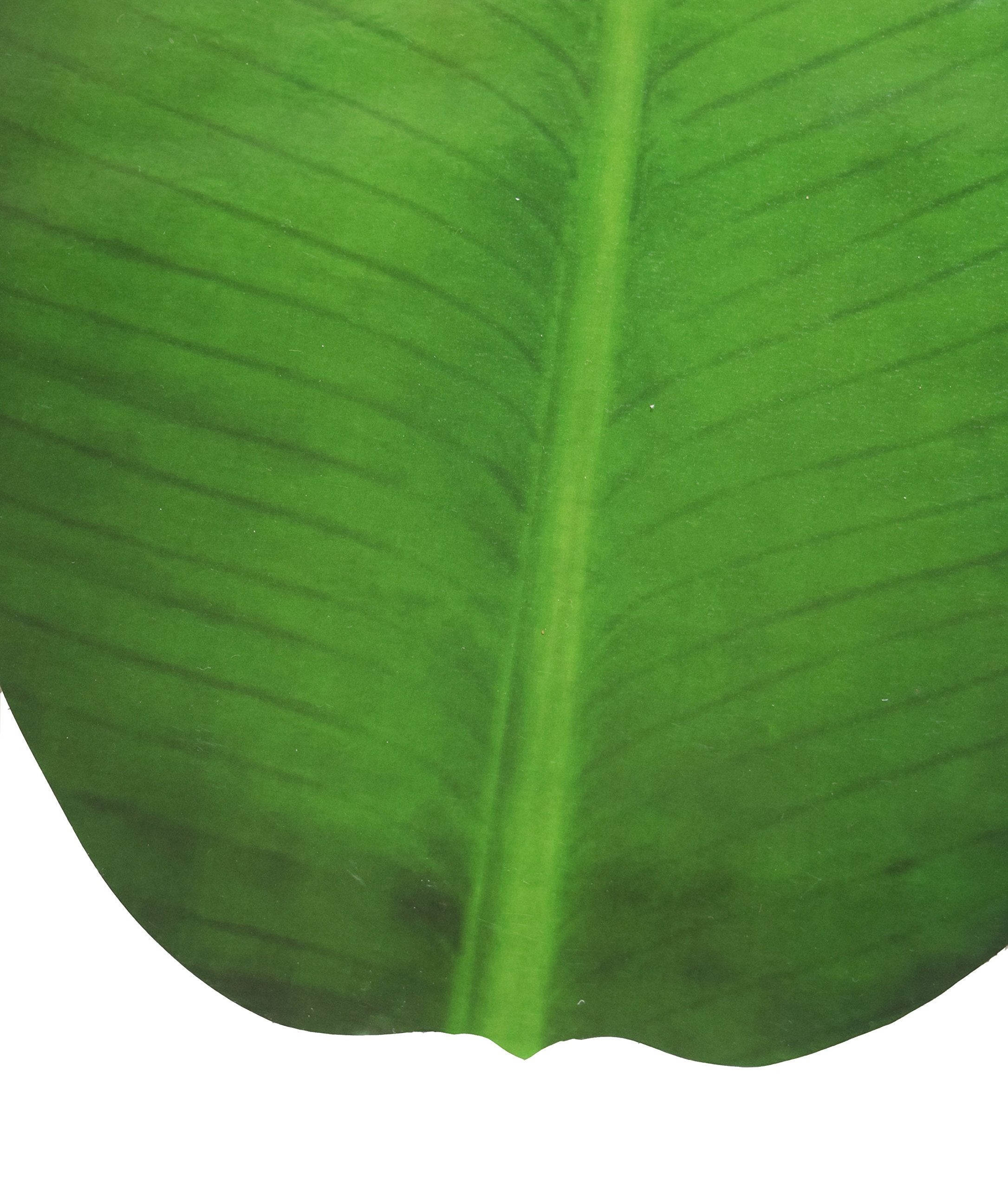 Cilexy Exquisite Laminated Paper Sheets Banana Leaf Shape Table Placement/Dinning Mat Set Of 4 Pcs/Diwali/Christmas