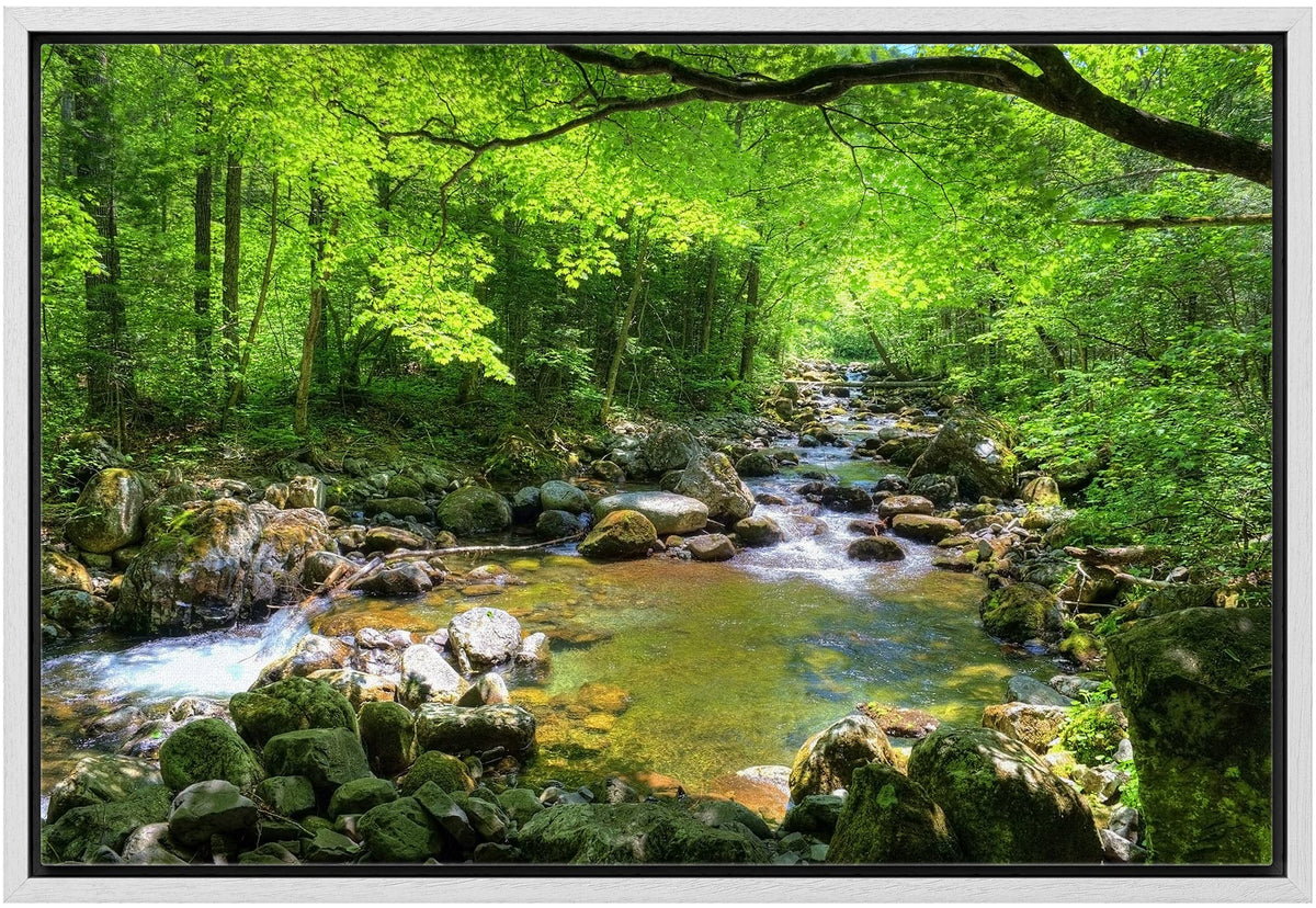 Wall26 Framed Canvas Print Wall Art River Through The Green Forest Nature Wilderness Photography Modern Art Rustic Scenic Colorf