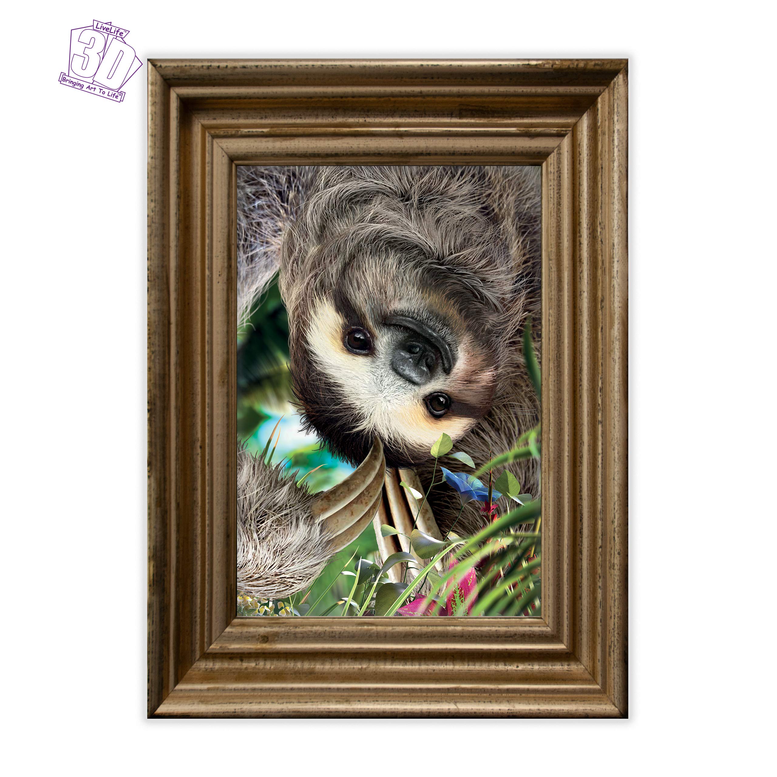 3D Livelife Lenticular Wall Art Prints - Hangin' Around From Deluxebase. Unframed 3D Sloth Poster. Perfect Wall Decor. Original