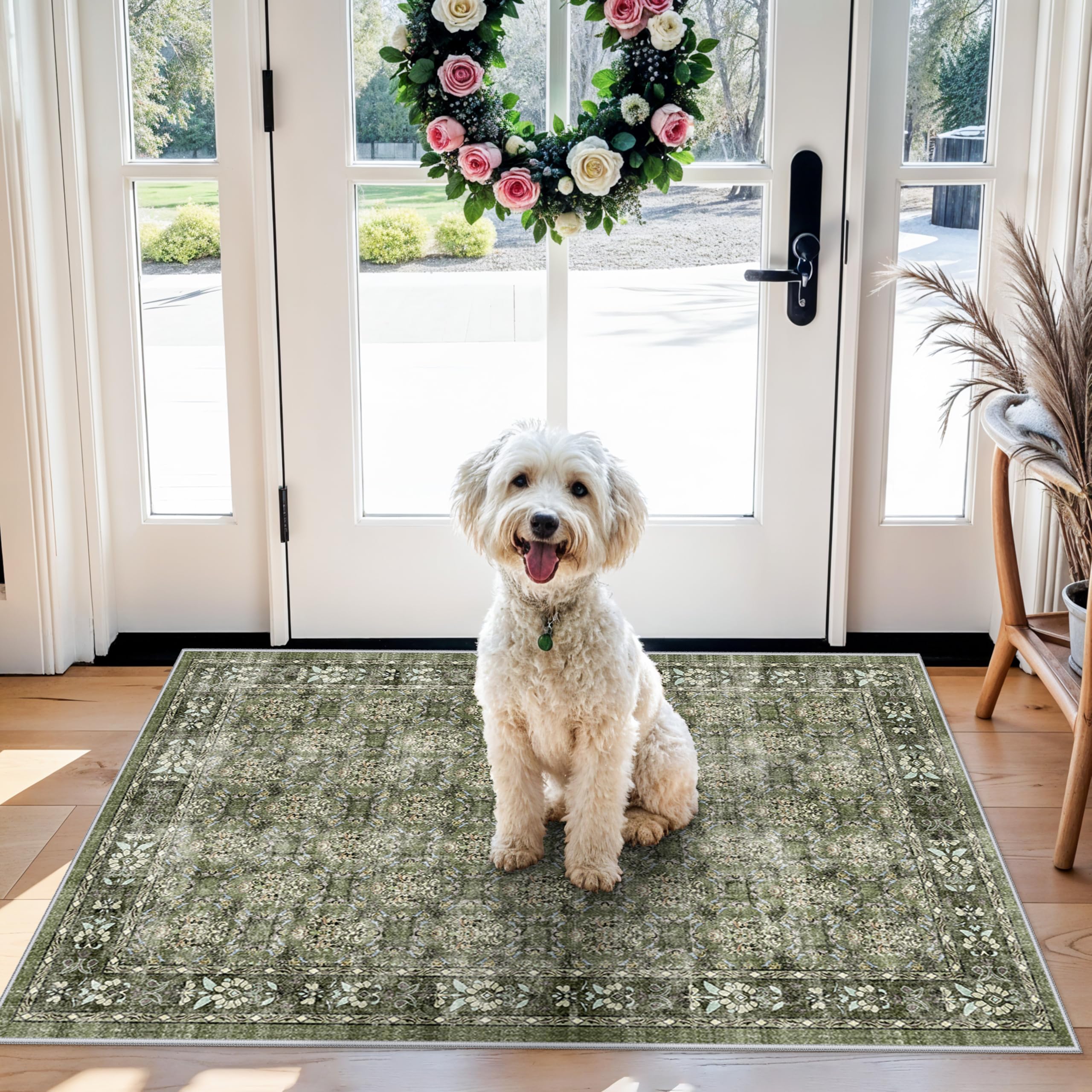 Washable 3x4 Entryway Area Rugs: Farmhouse Non-Slip Kitchen Sink Floor Mats Water-Resistant Cute Carpet for Bathroom Living Room