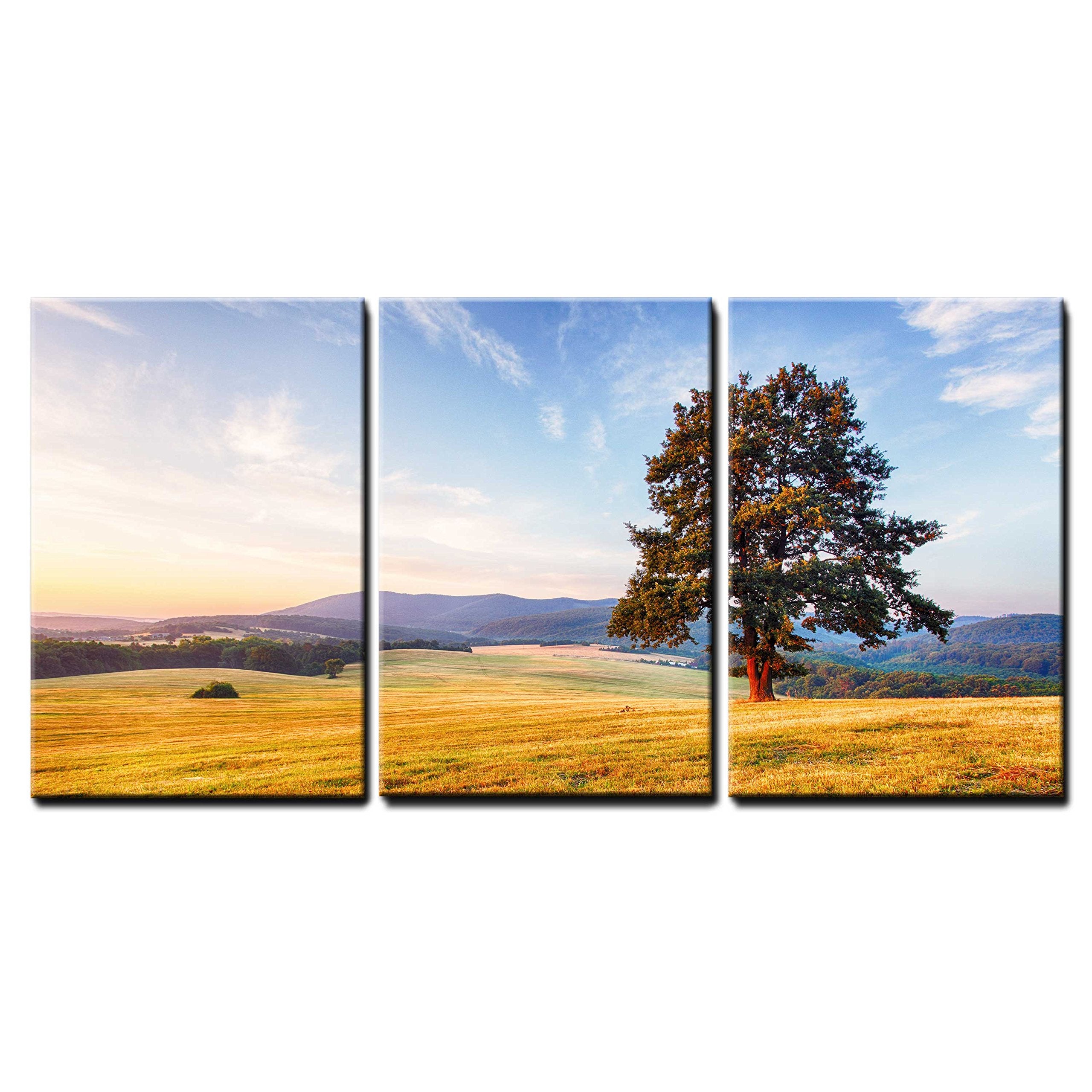 Wall26 - 3 Piece Canvas Wall Art - Spring Landscape With Tree And Sun - Modern Home Art Stretched And Framed Ready To Hang - 16'