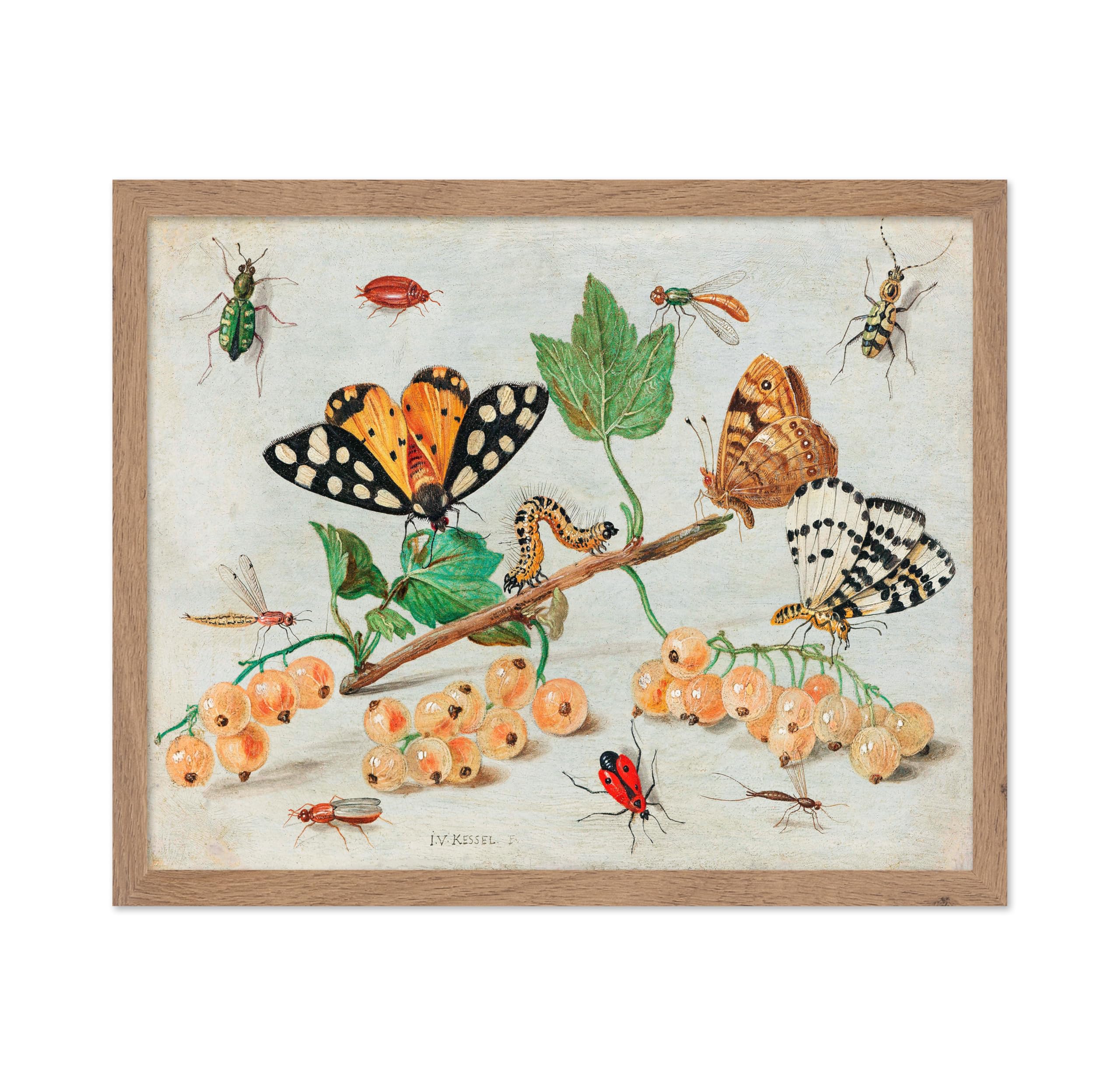 Poster Master Vintage Butterfly Poster - Retro Insects and Fruit Painting Print - Insects and Fruit Art - Gift for Men, Women, A