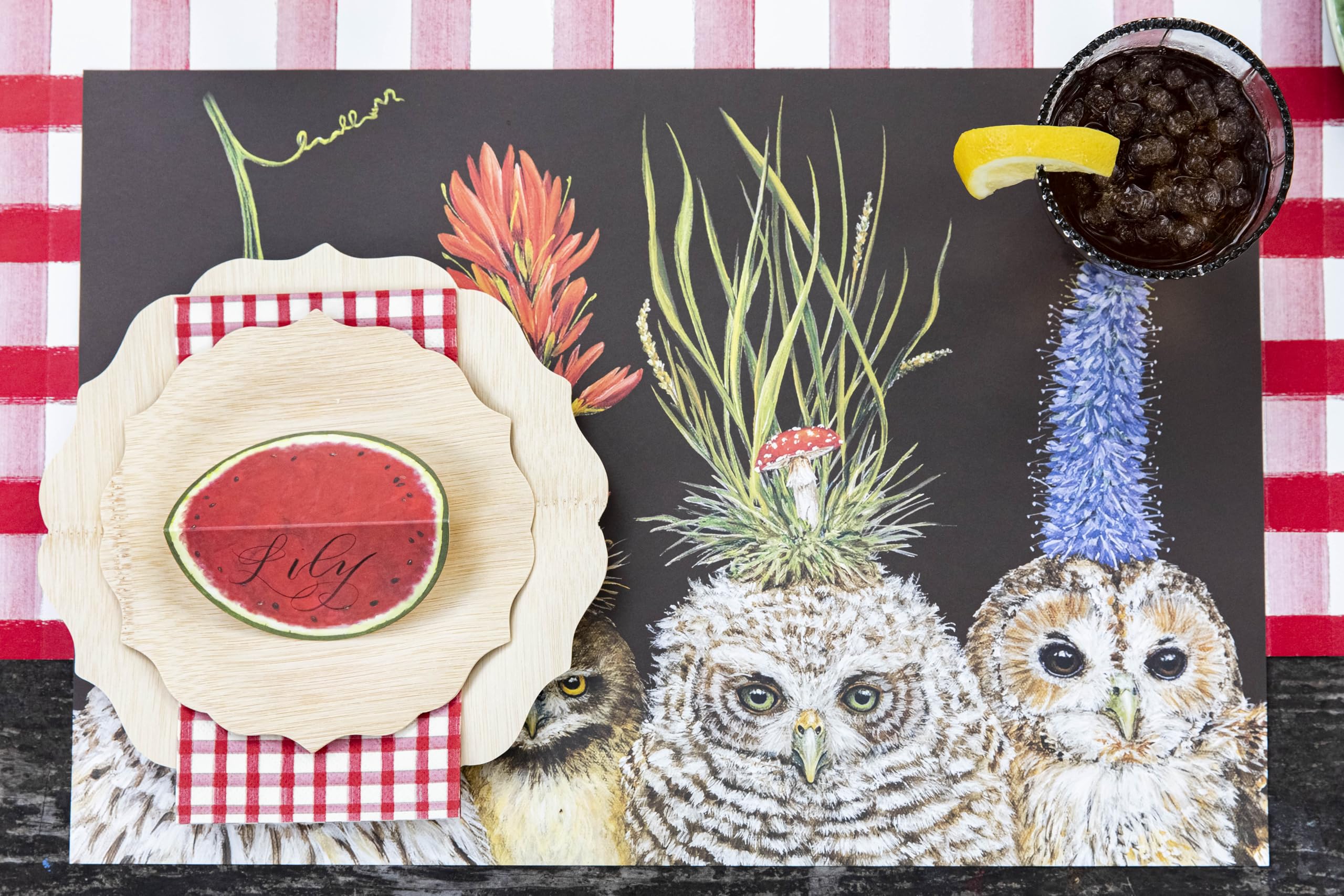 Baby Owls Paper Placemat 24 Sheets Vicki Sawyer American Made
