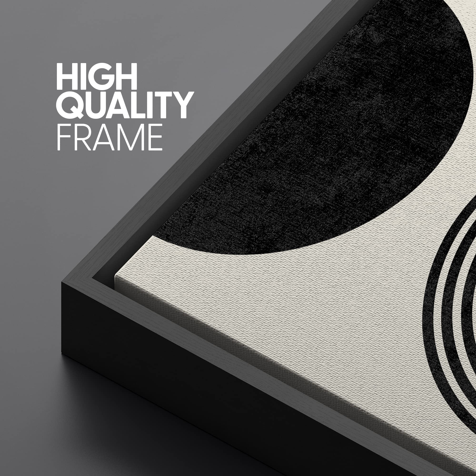 Signleader Framed Canvas Print Wall Art Spiral Parabolas & Solid Semi Circle Geometric Shapes Drawings Modern Art Contemporary E