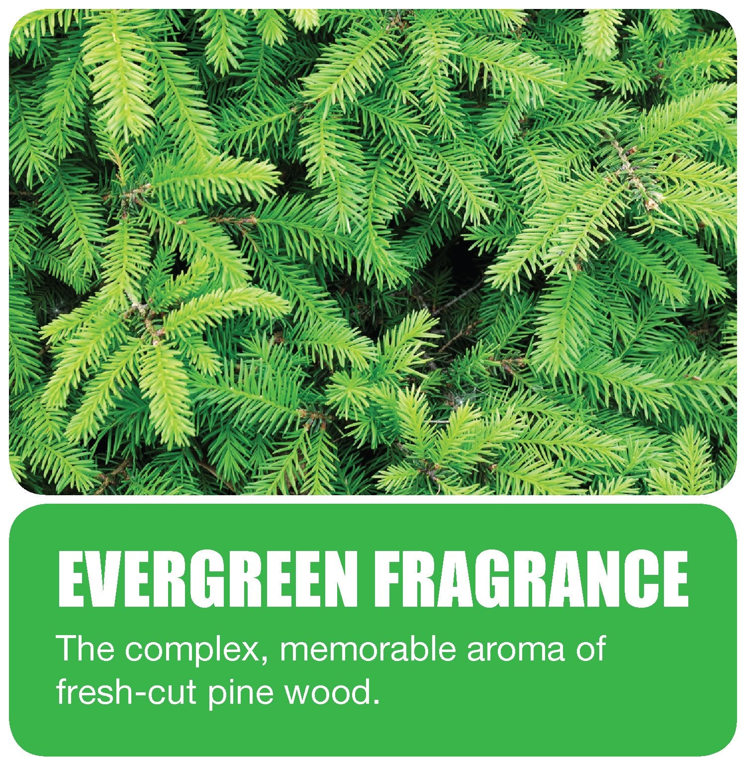 Bgd 661 Non-Para Toilet Bowl Block, Lasts 30 Days, White, Evergreen Fragrance, 12/Box