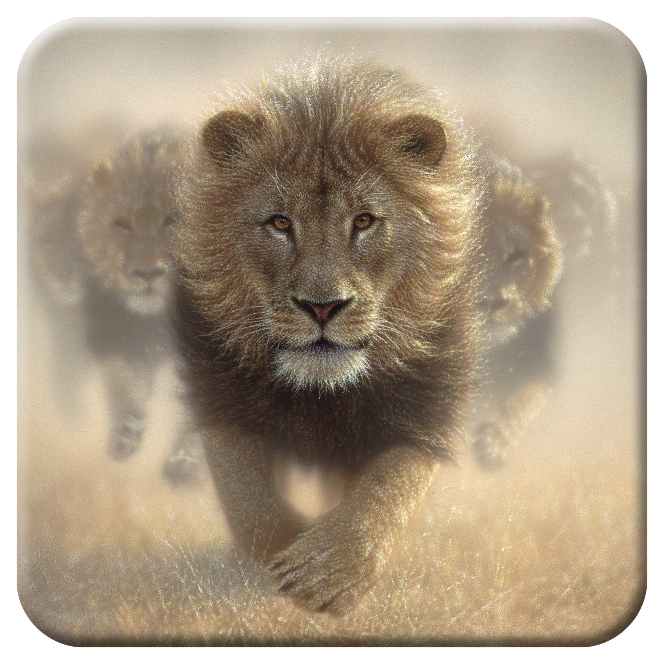 3D Livelife Cork Coaster - Eat My Dust From Deluxebase. Lenticular 3D Cork Lion Coaster. Non-Slip Drink Coaster With Original Ar